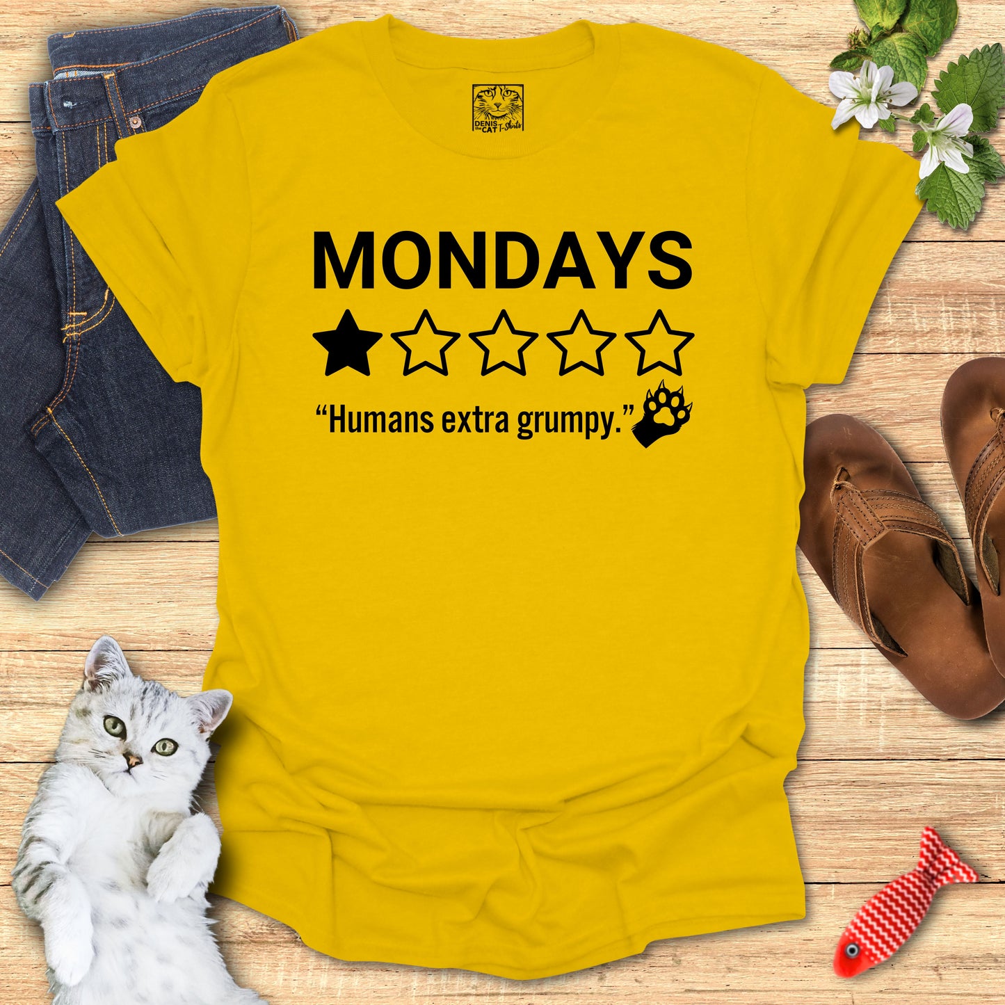1 Star Review - Mondays