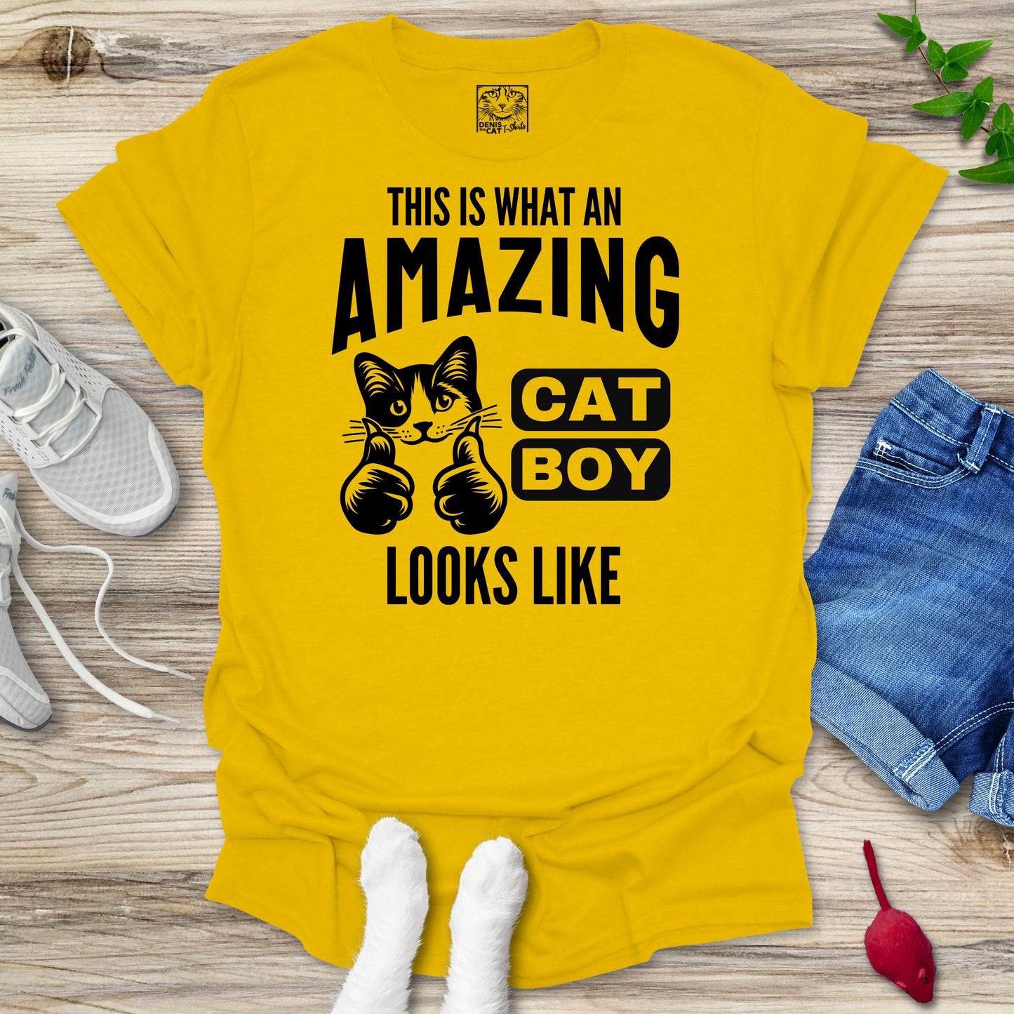 Amazing Cat Boy