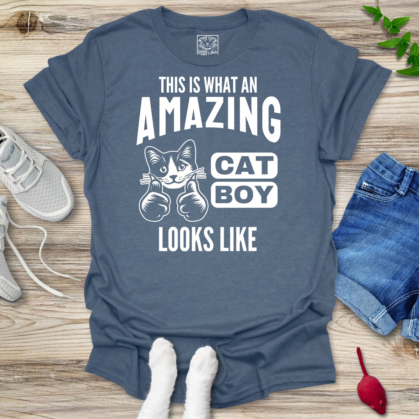 Amazing Cat Boy