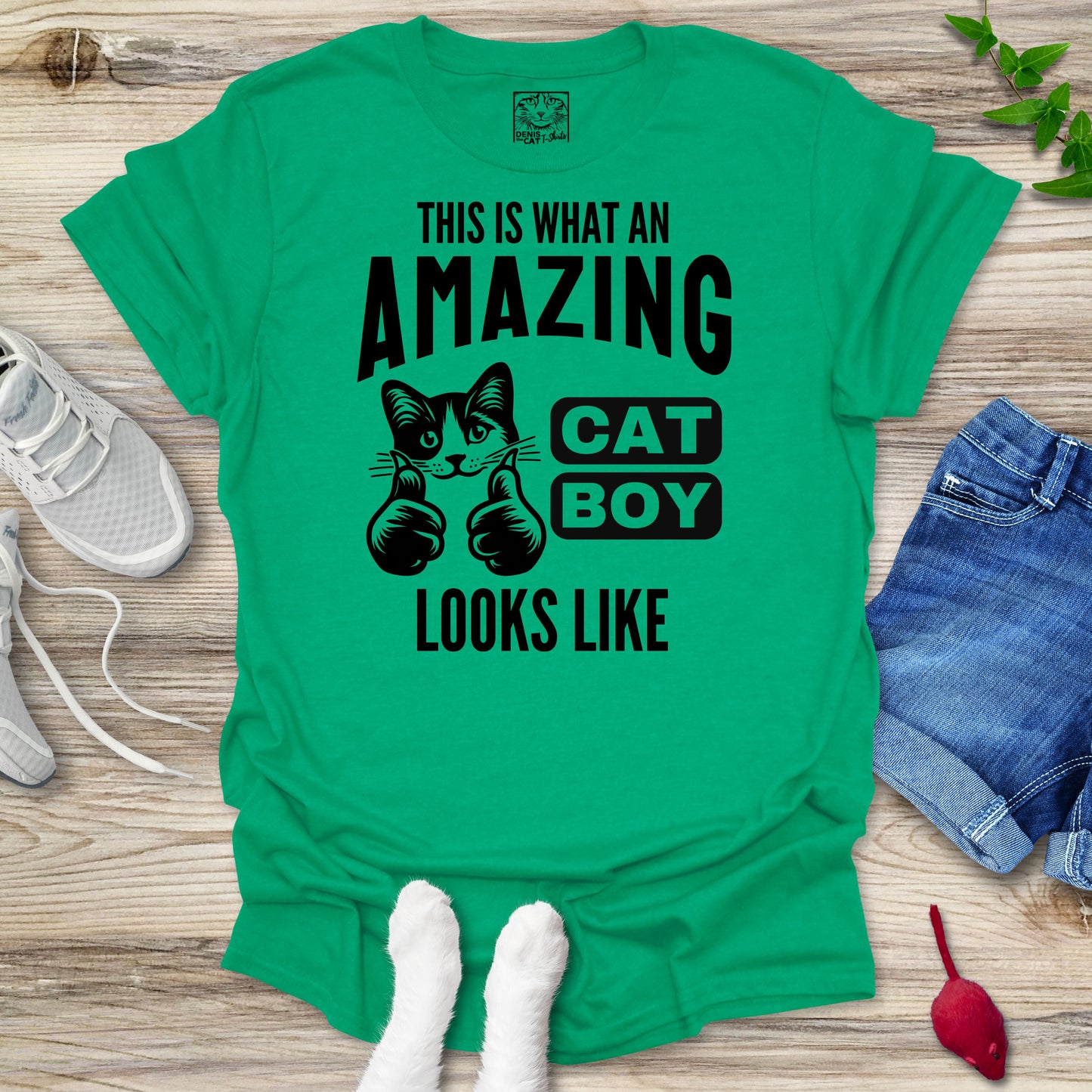 Amazing Cat Boy