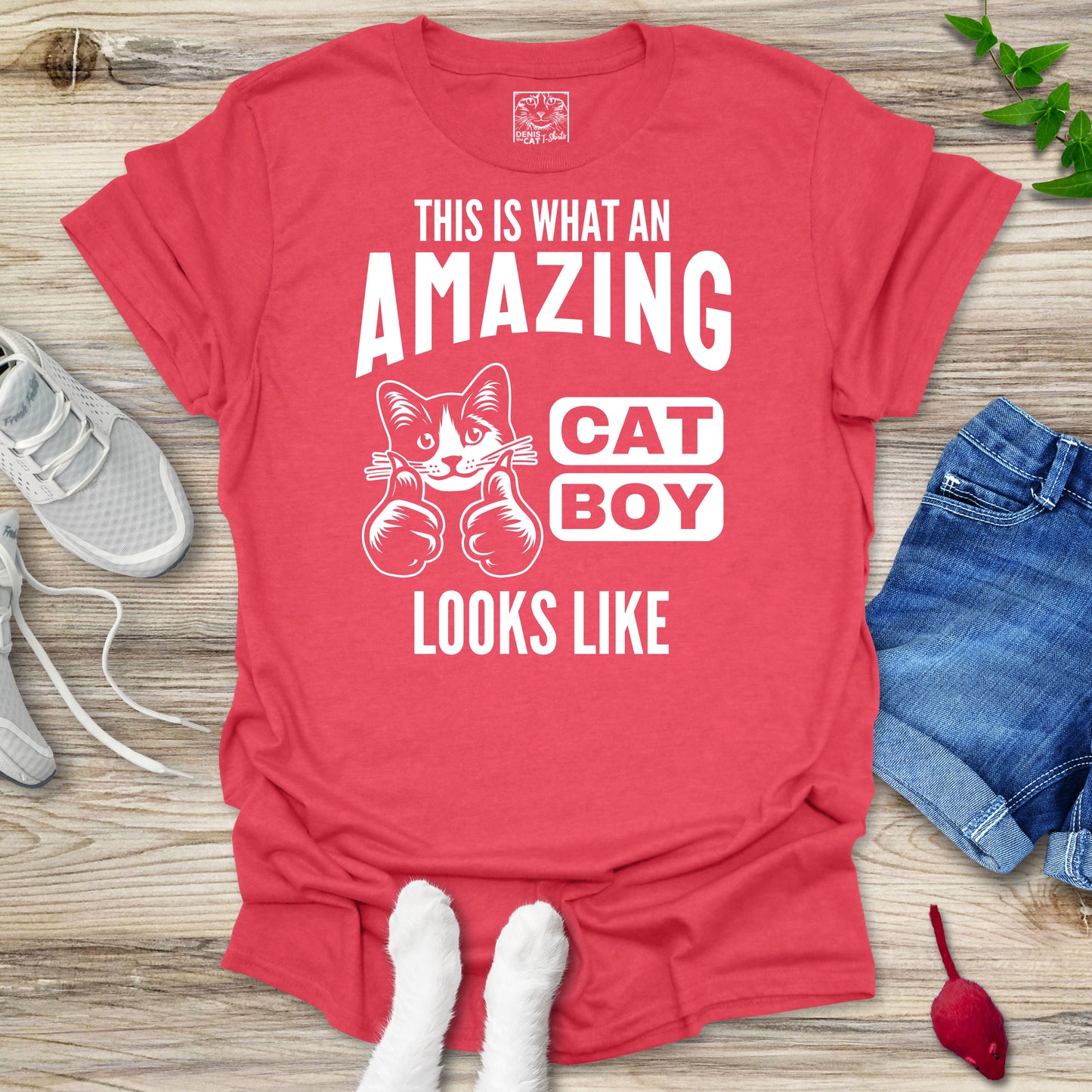 Amazing Cat Boy