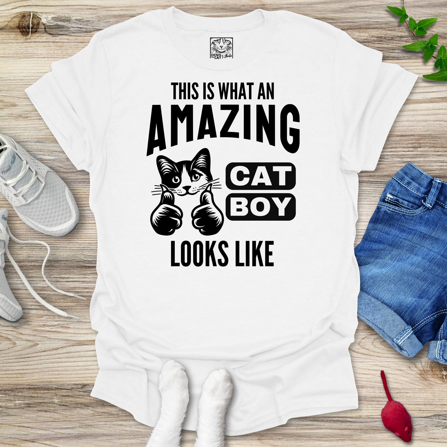 Amazing Cat Boy