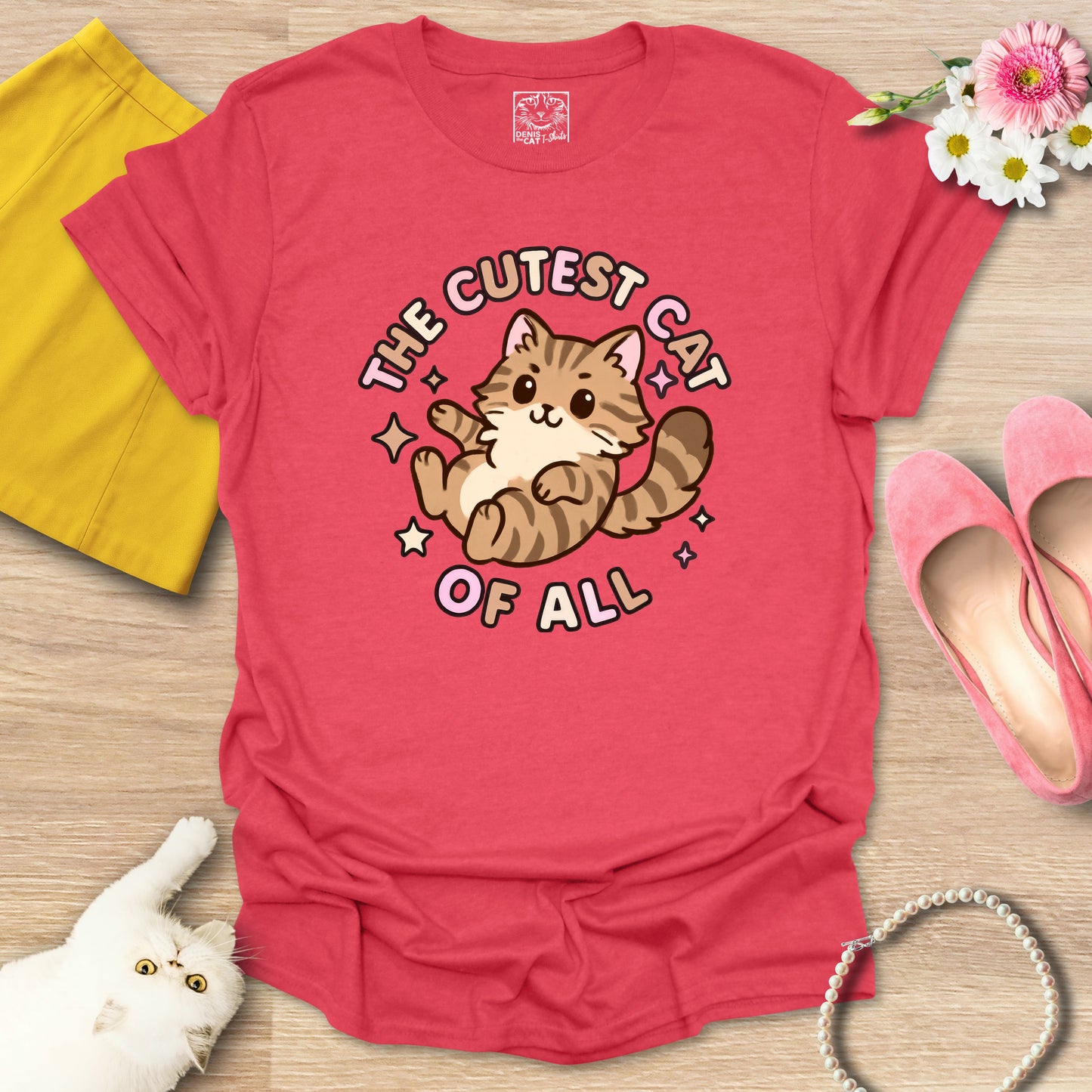 Cutest Cat of All - Main Coon 1