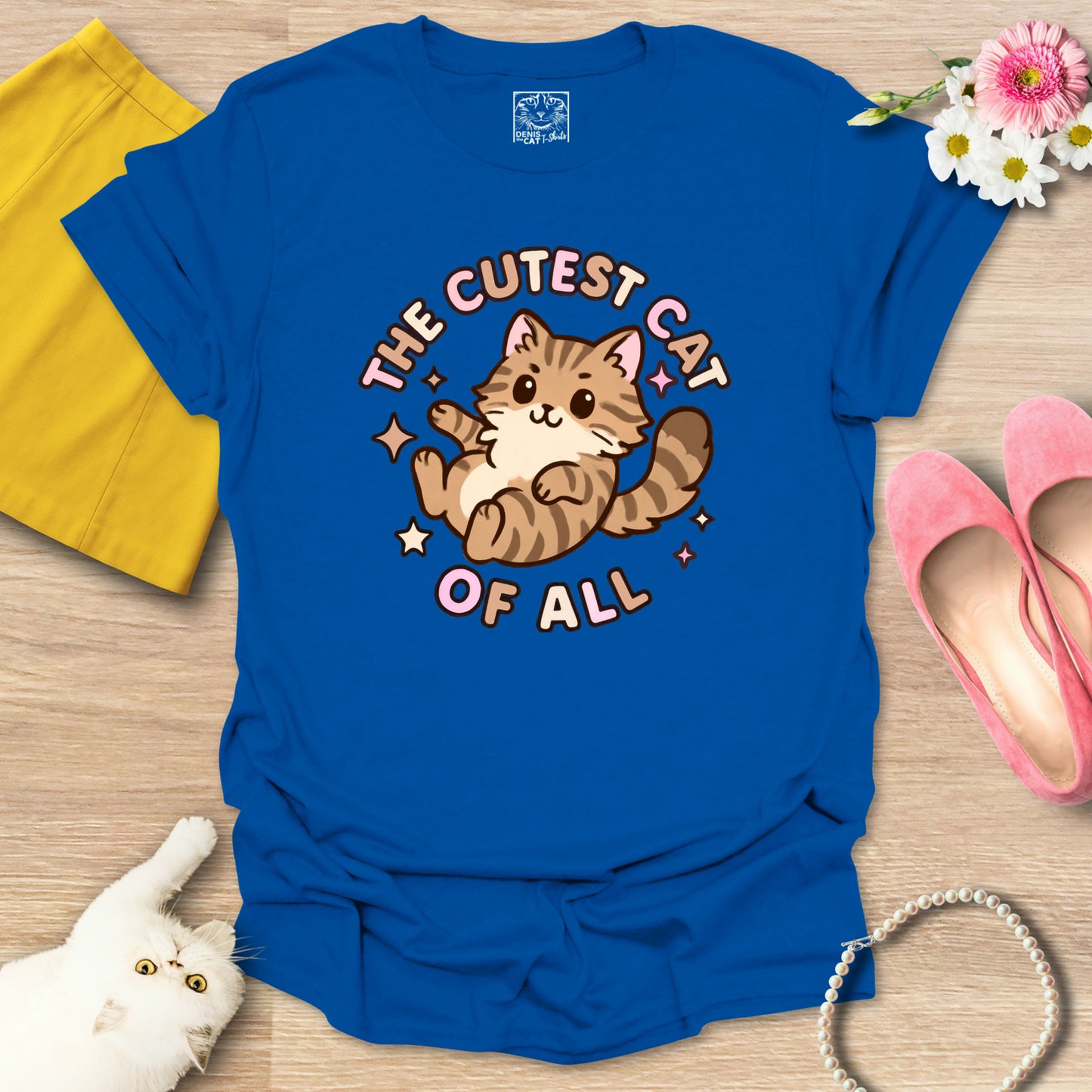 Cutest Cat of All - Main Coon 1