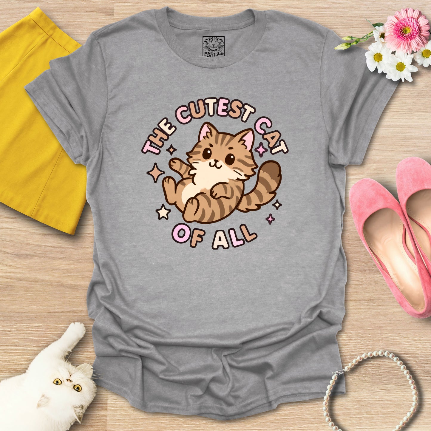 Cutest Cat of All - Main Coon 1