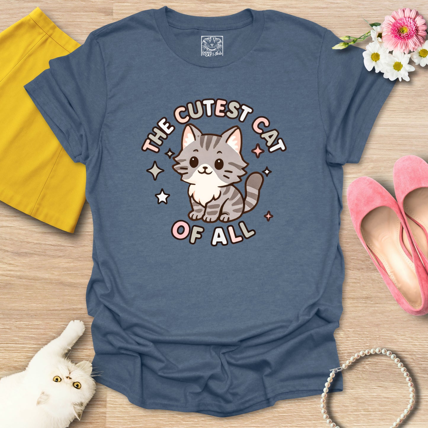 Cutest Cat of All - Main Coon 2