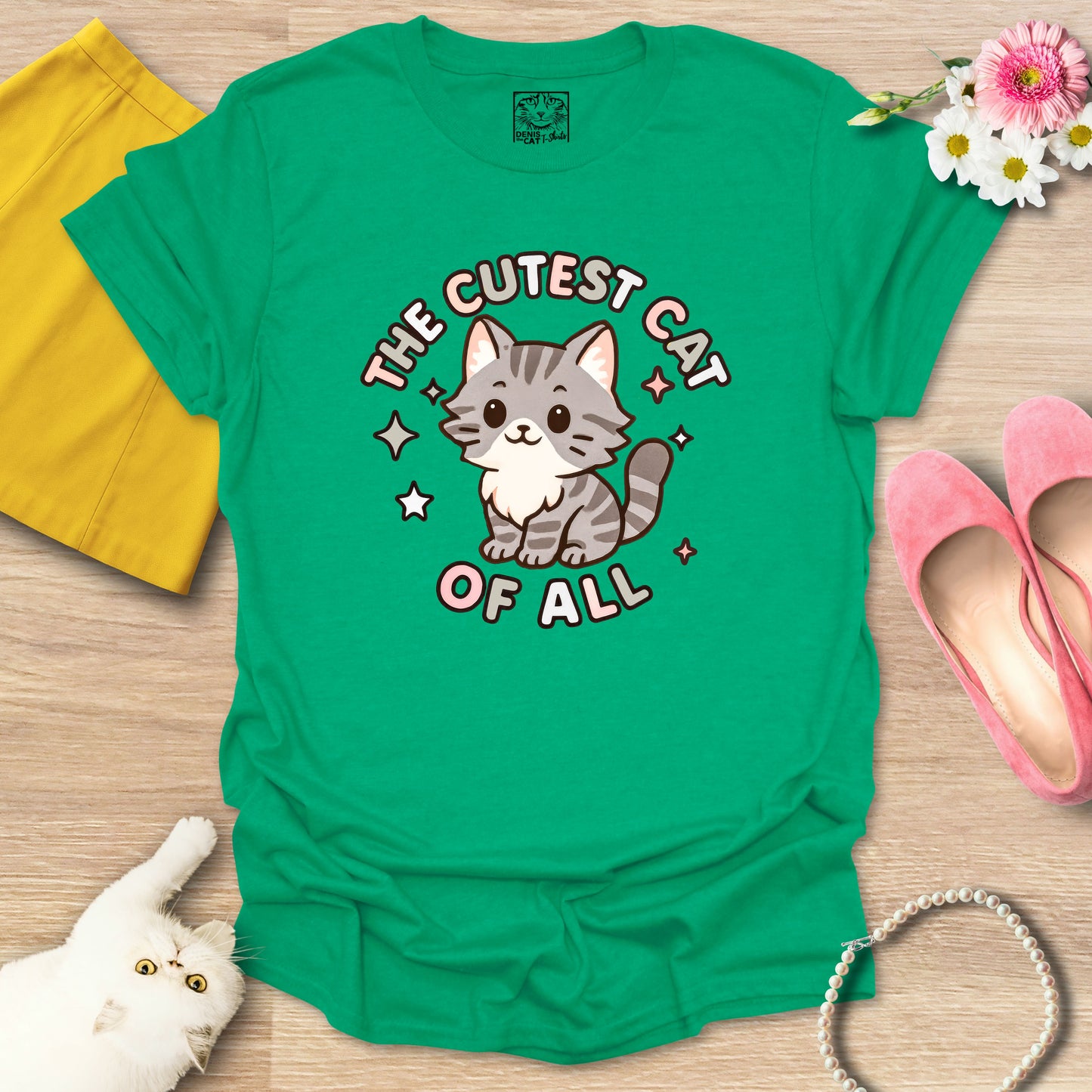 Cutest Cat of All - Main Coon 2