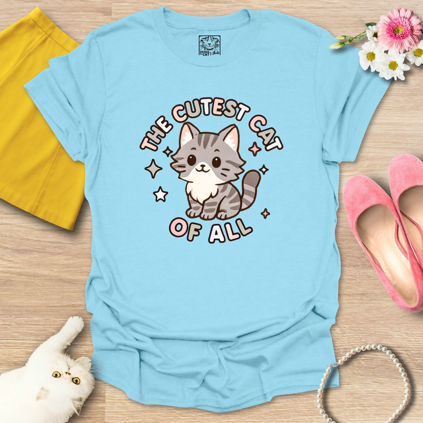 Cutest Cat of All - Main Coon 2