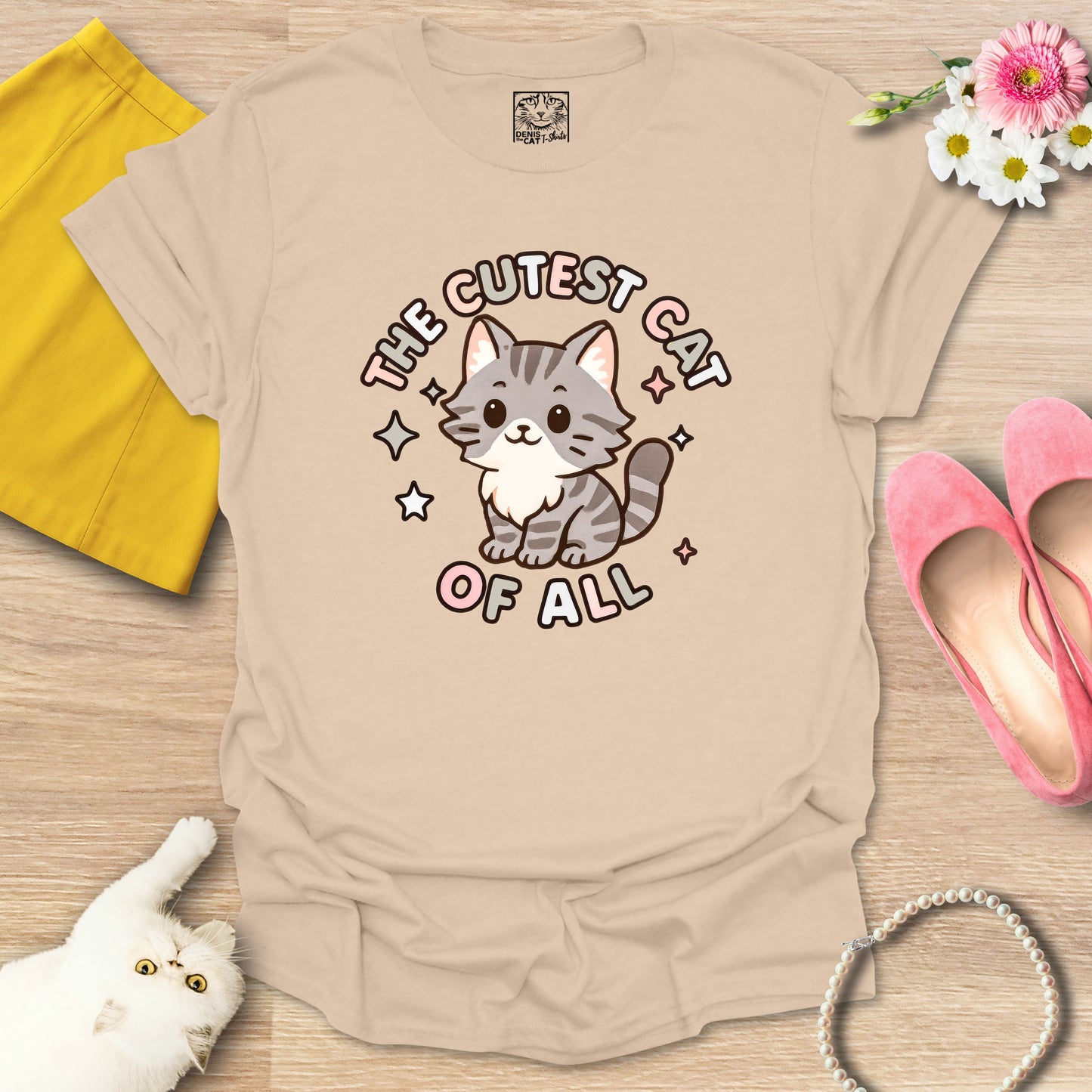 Cutest Cat of All - Main Coon 2