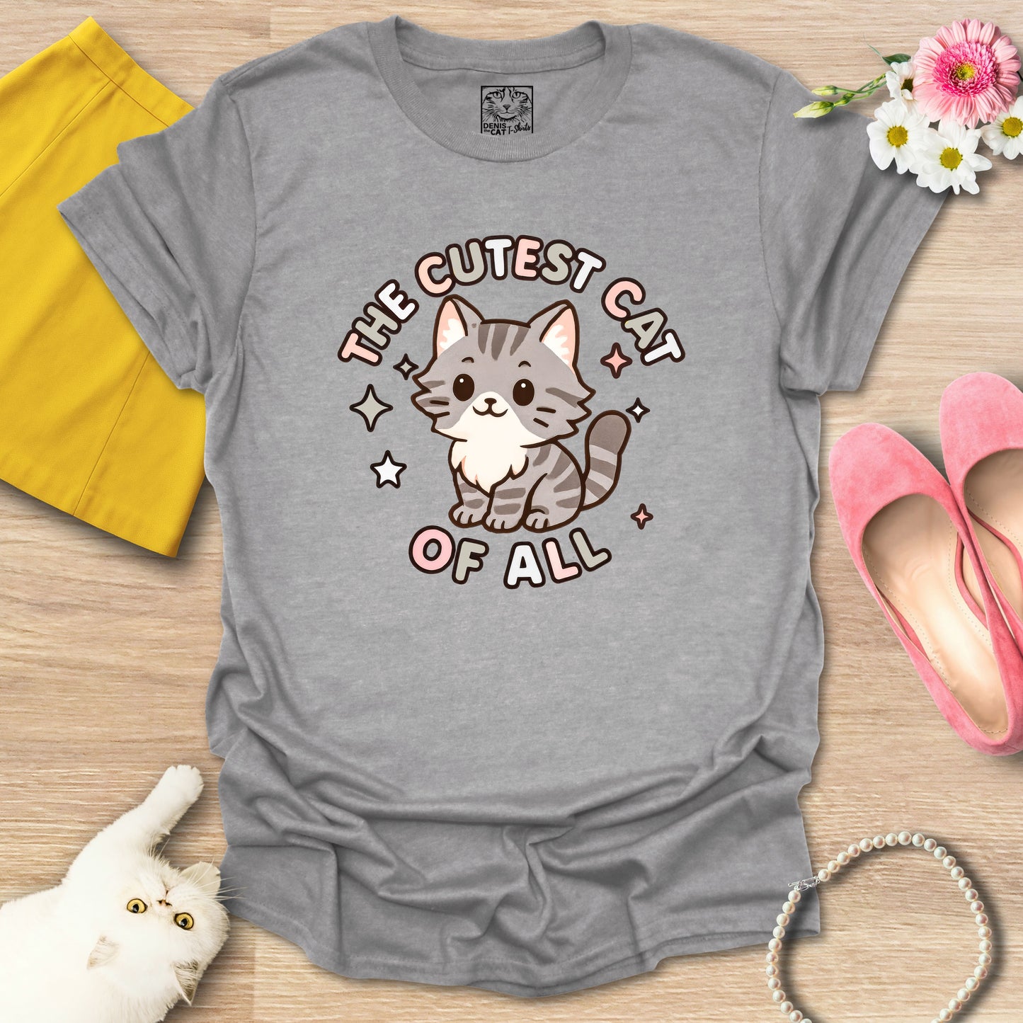 Cutest Cat of All - Main Coon 2