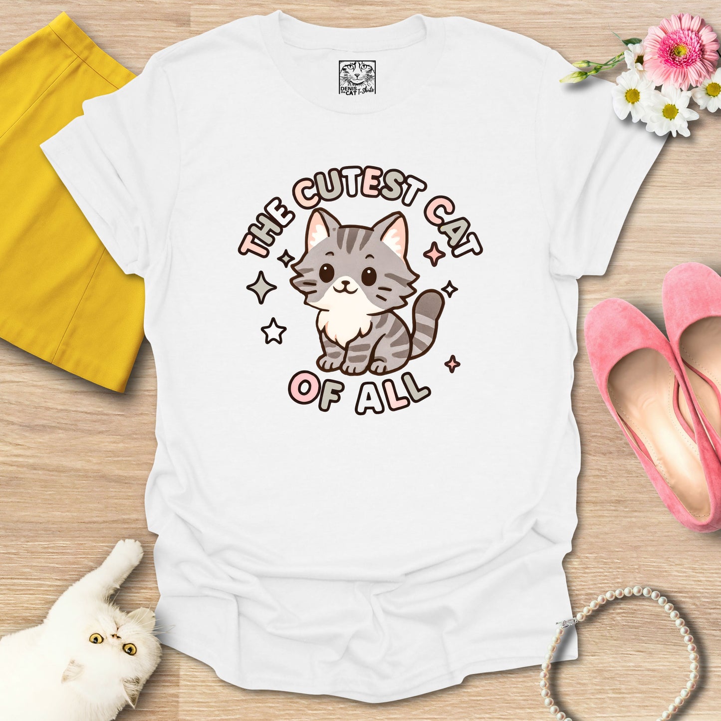 Cutest Cat of All - Main Coon 2