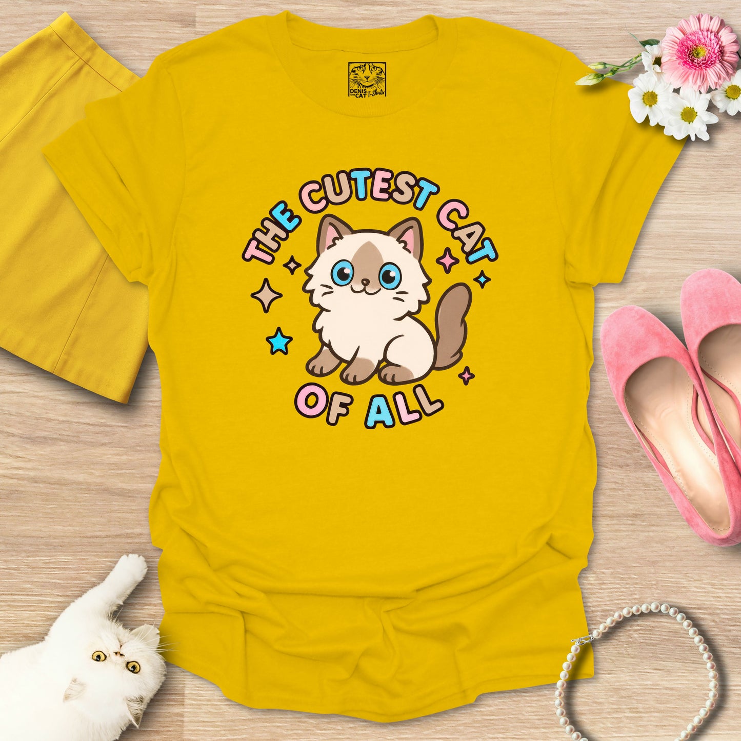 Cutest Cat of All - Ragdoll