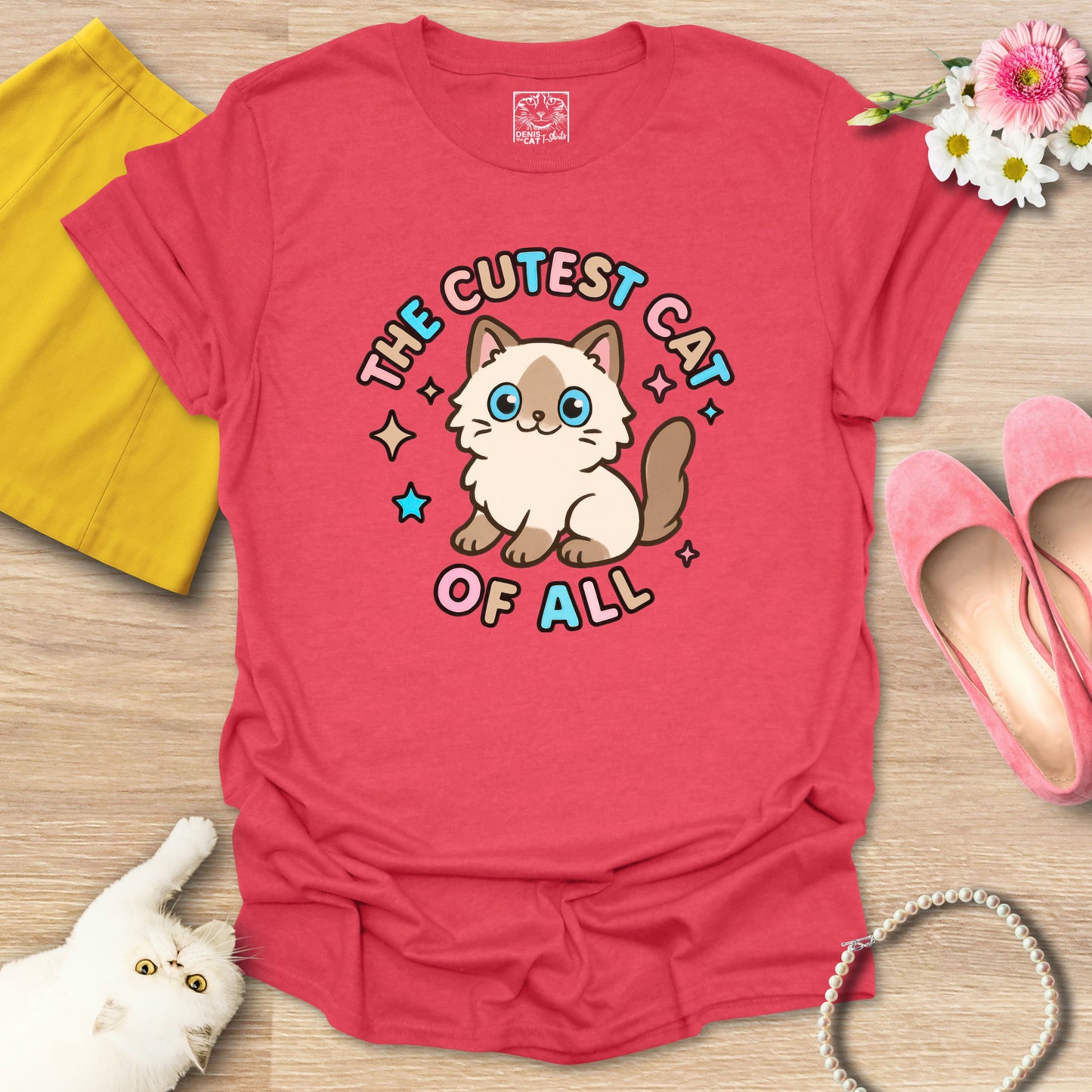 Cutest Cat of All - Ragdoll