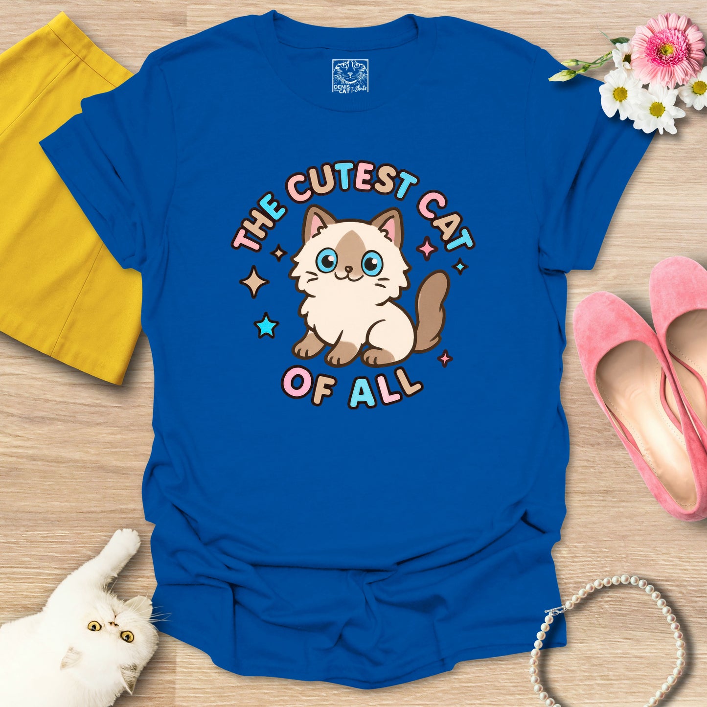 Cutest Cat of All - Ragdoll