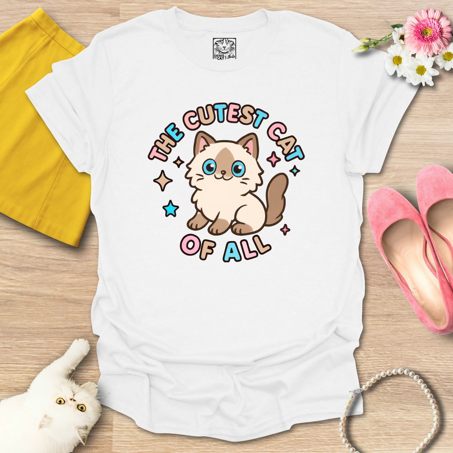 Cutest Cat of All - Ragdoll