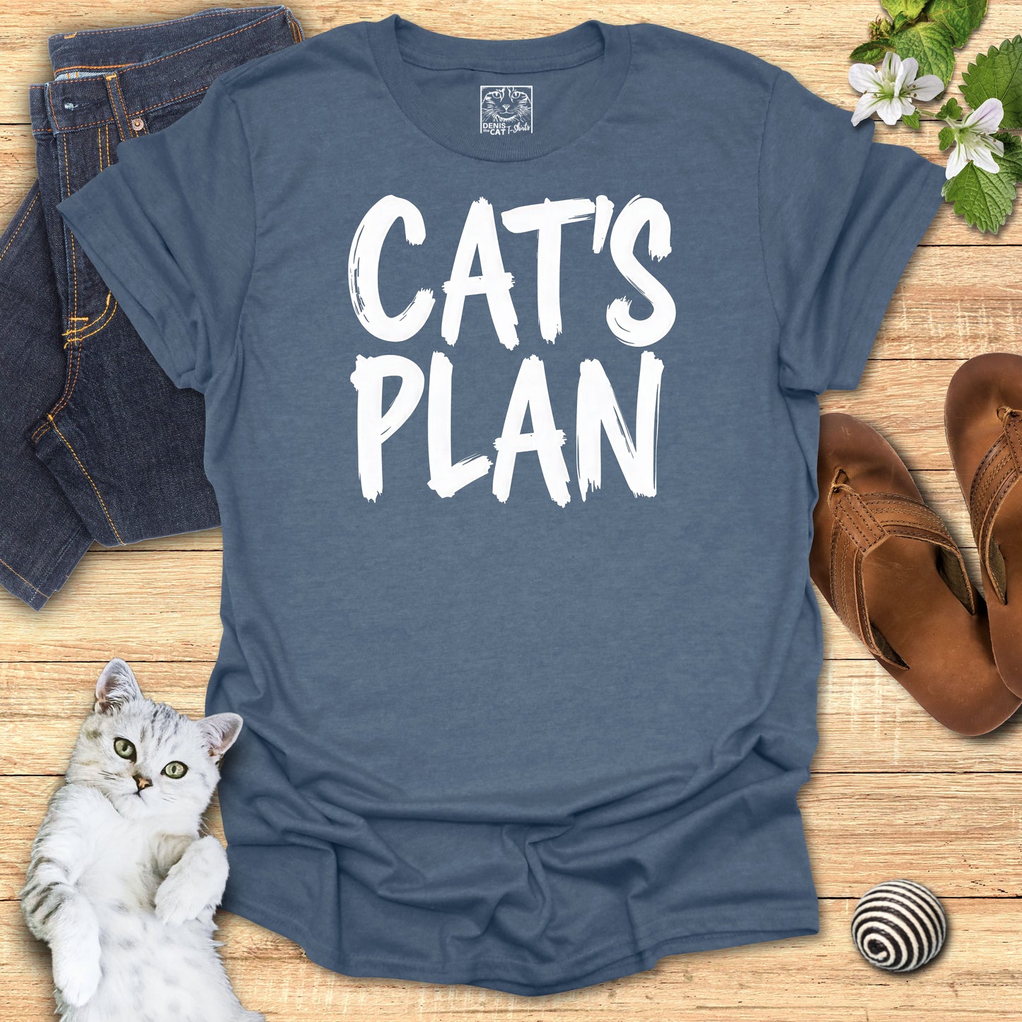 Cat's Plan