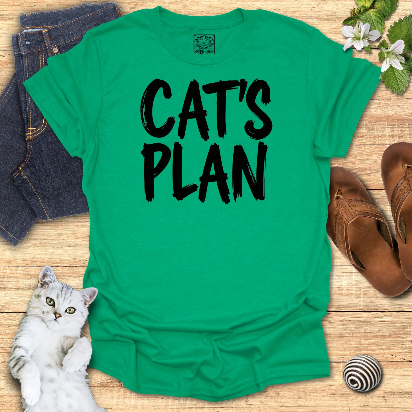 Cat's Plan