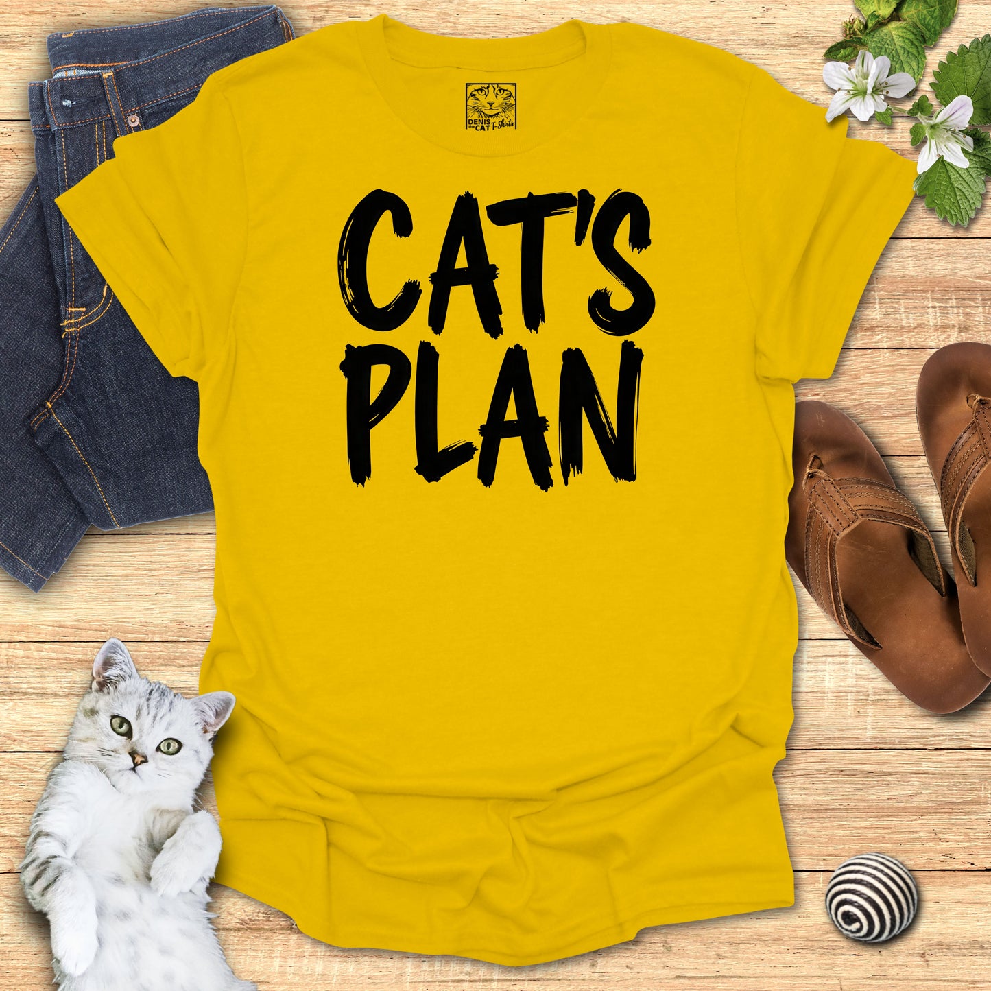 Cat's Plan