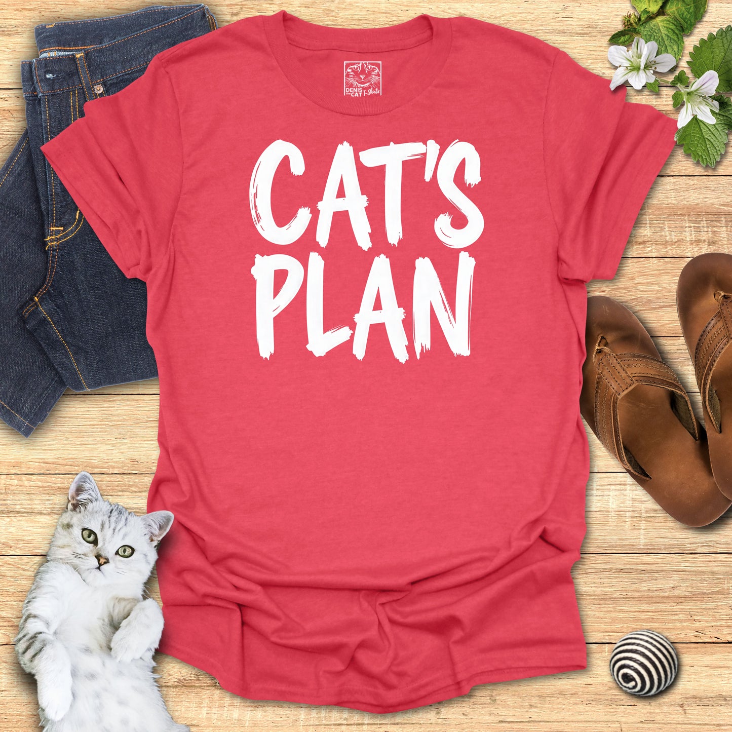 Cat's Plan