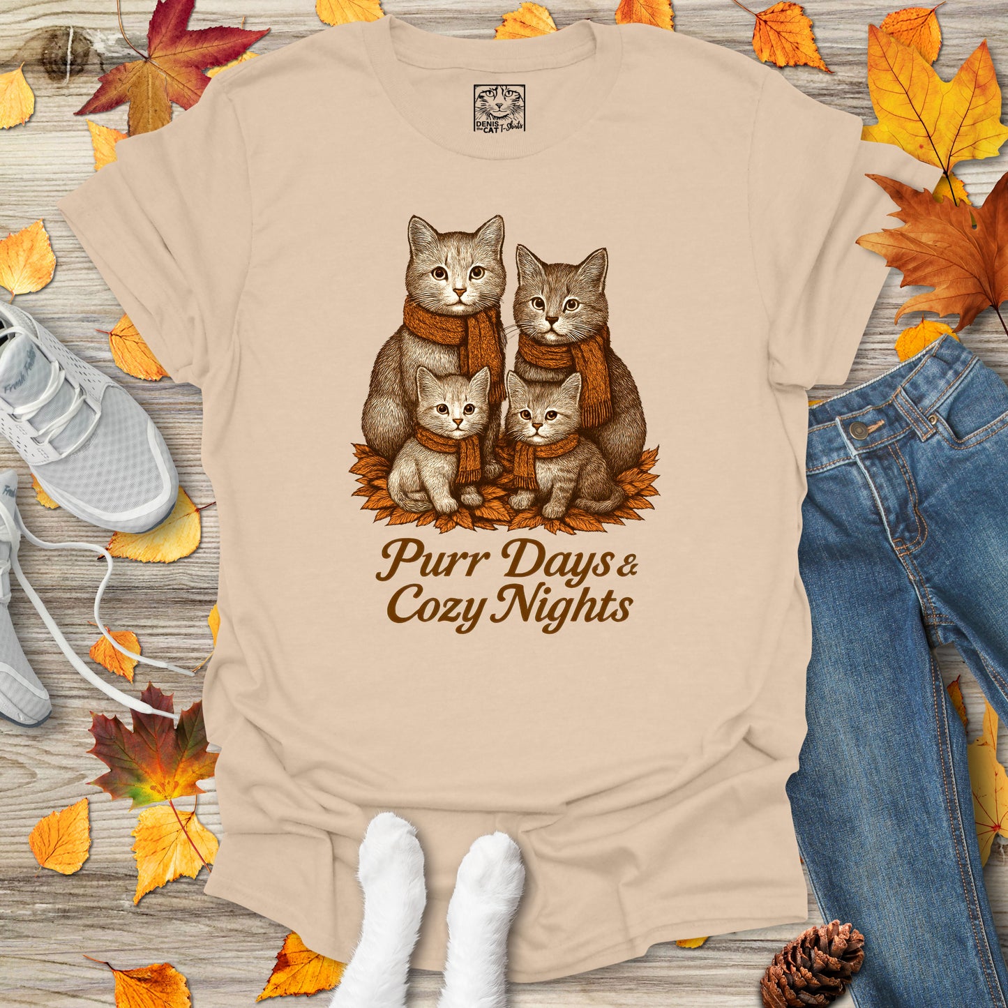 Purr Days and Cozy Nights