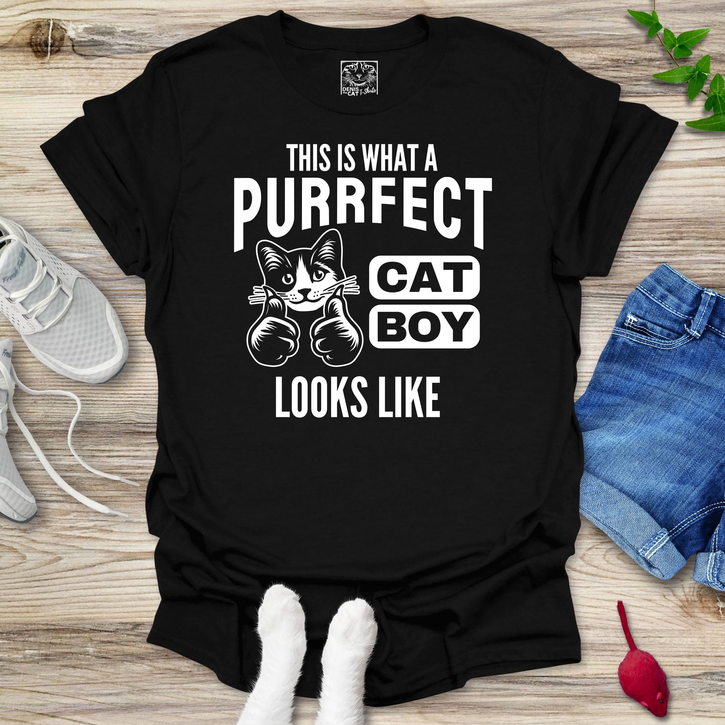 Purrfect Cat Boy