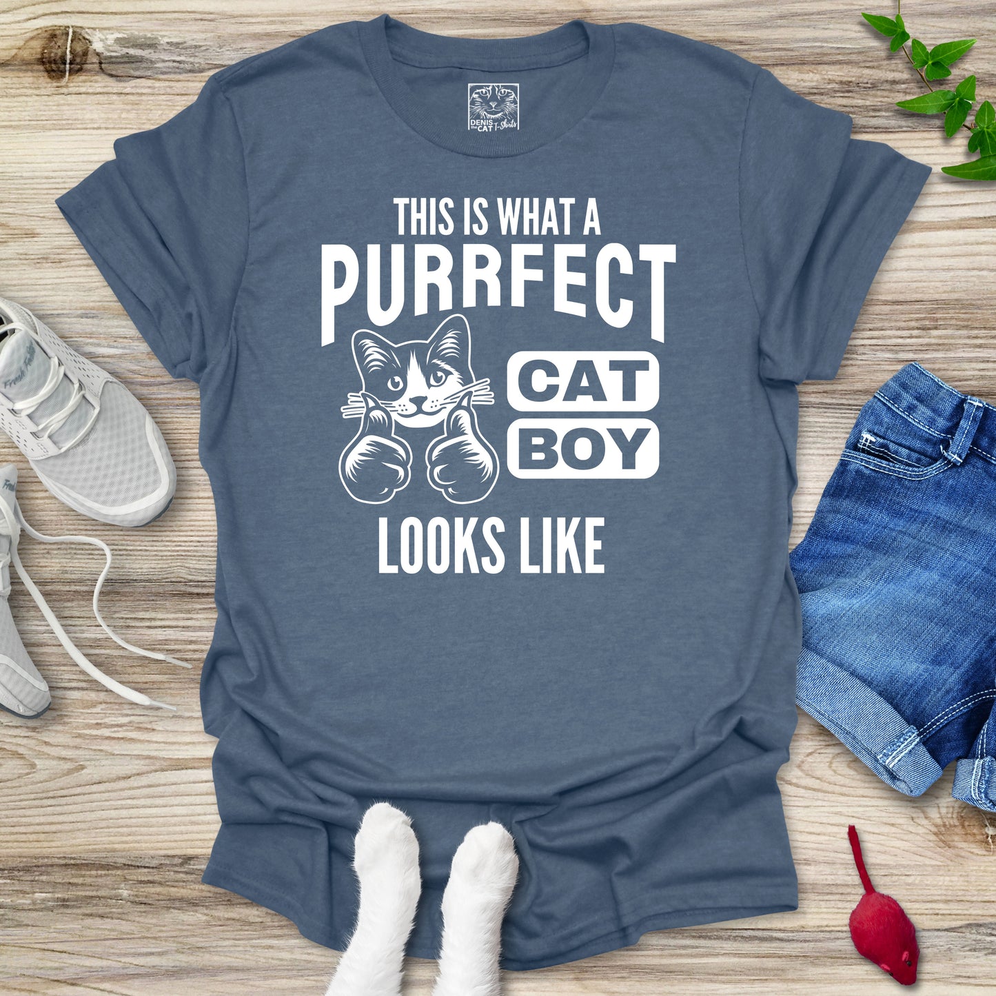 Purrfect Cat Boy