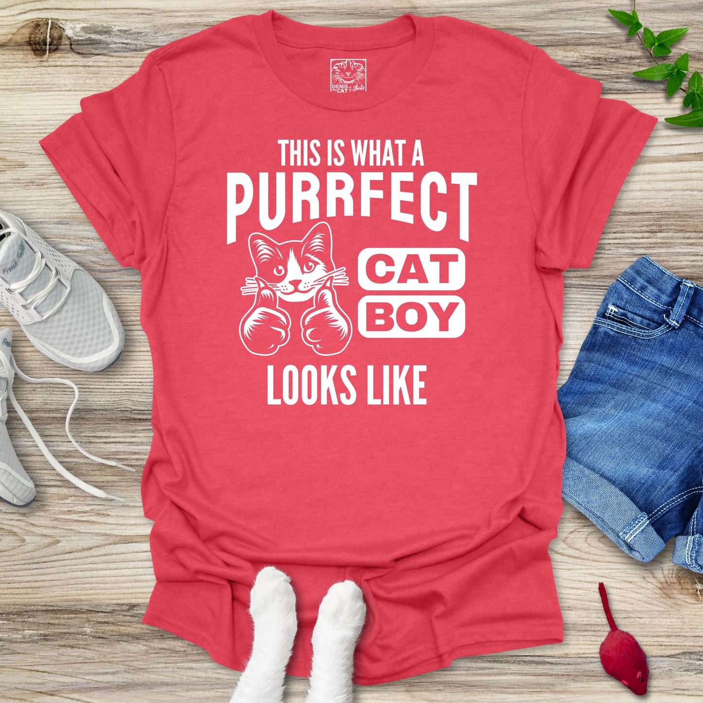 Purrfect Cat Boy