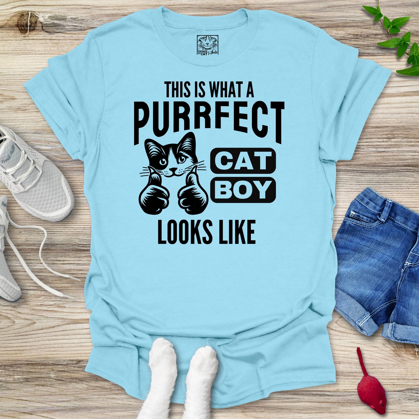 Purrfect Cat Boy