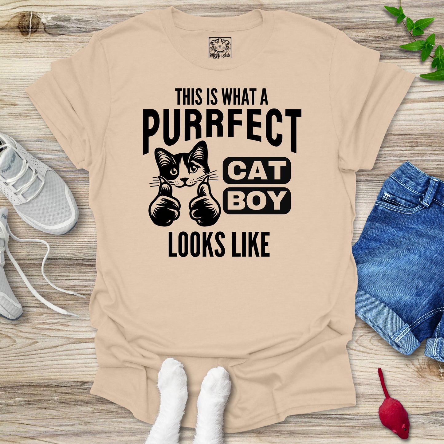 Purrfect Cat Boy