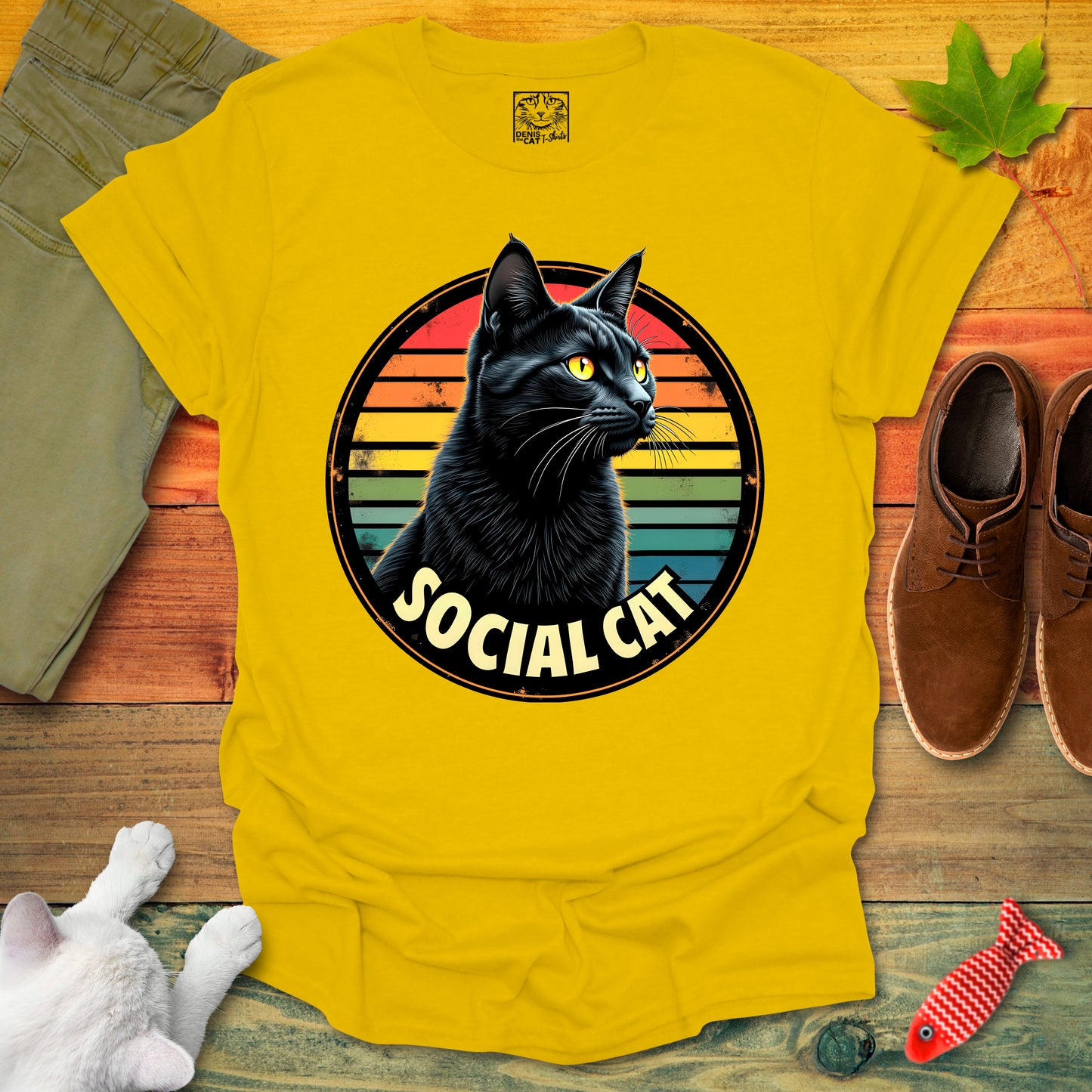 Social Cat 1