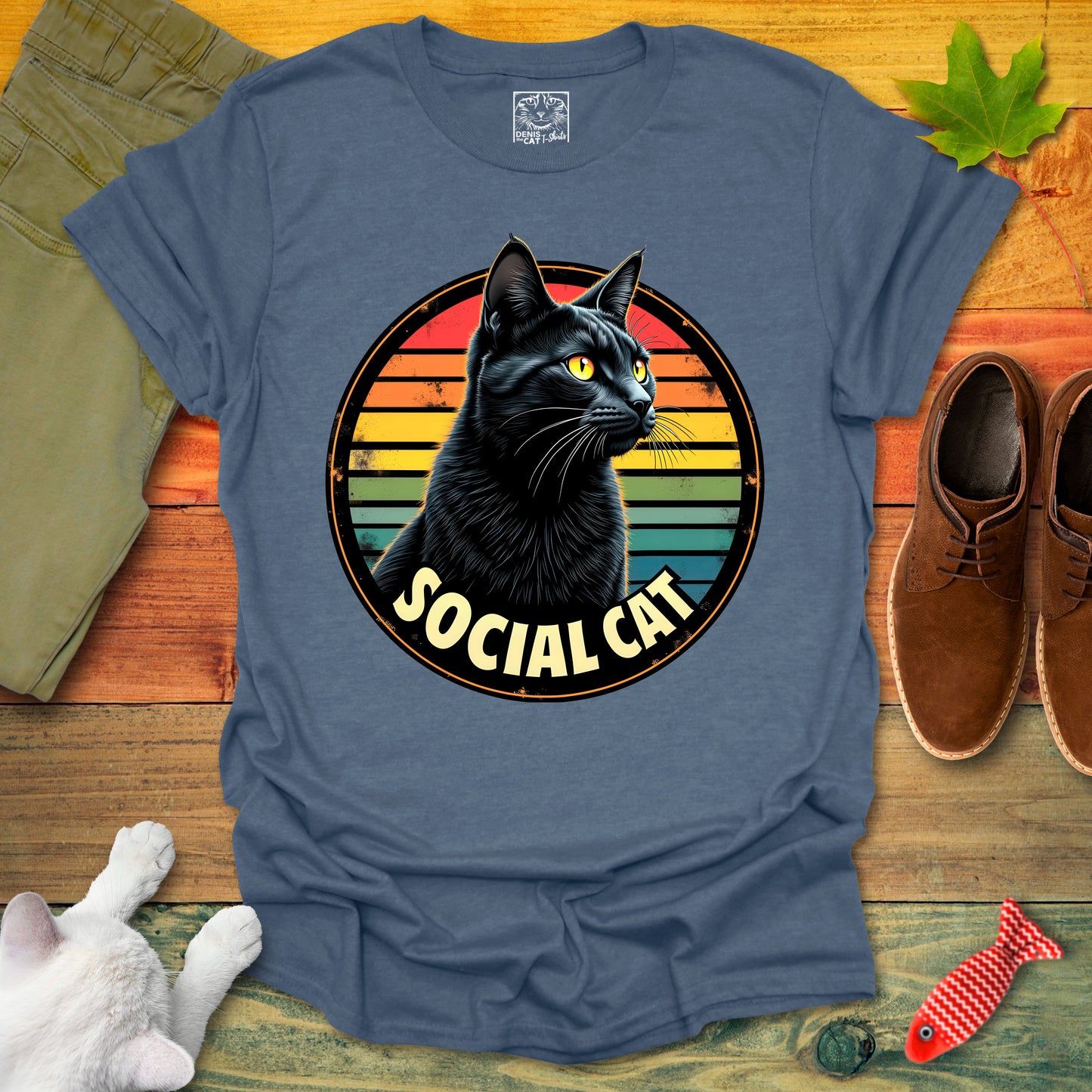 Social Cat 1