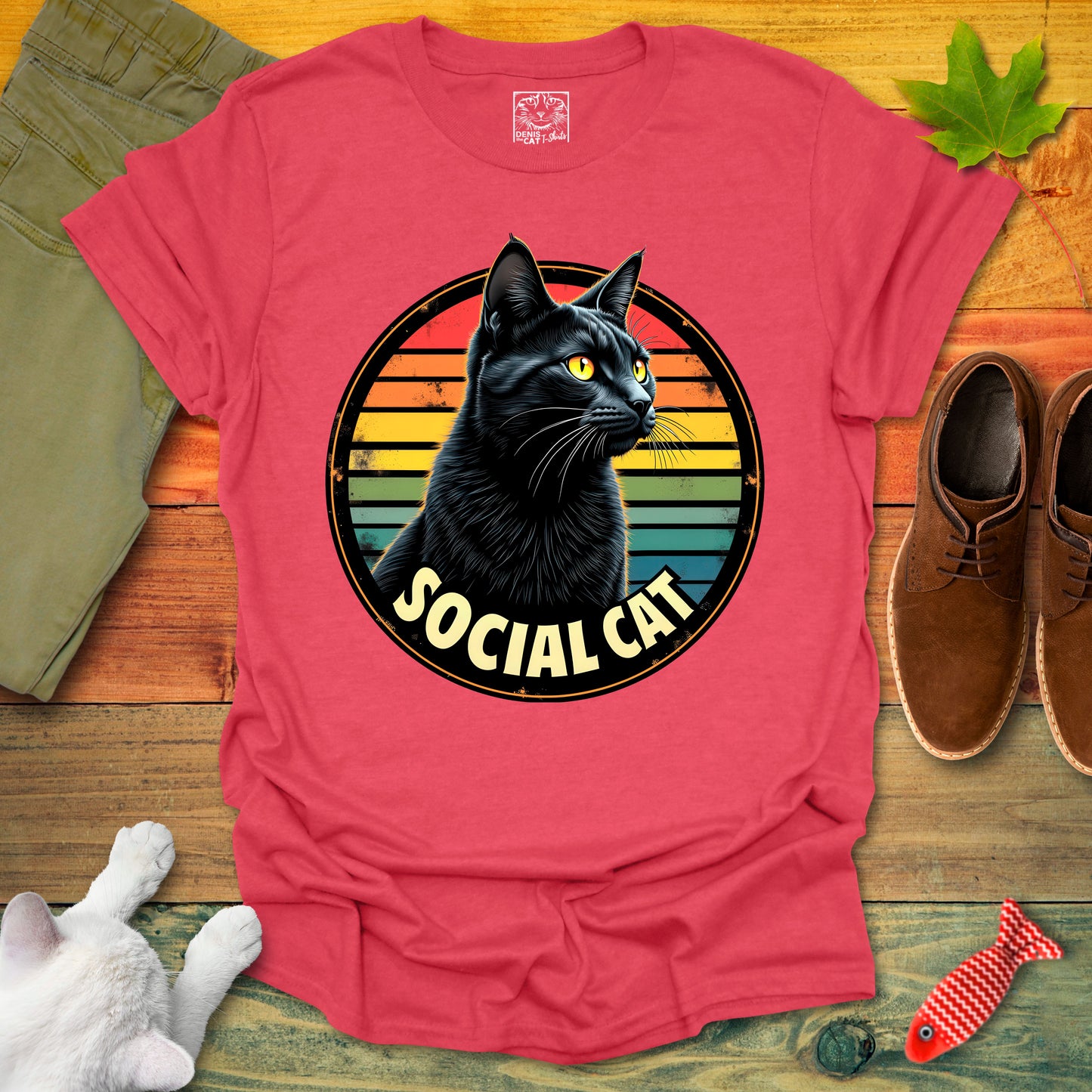 Social Cat 1