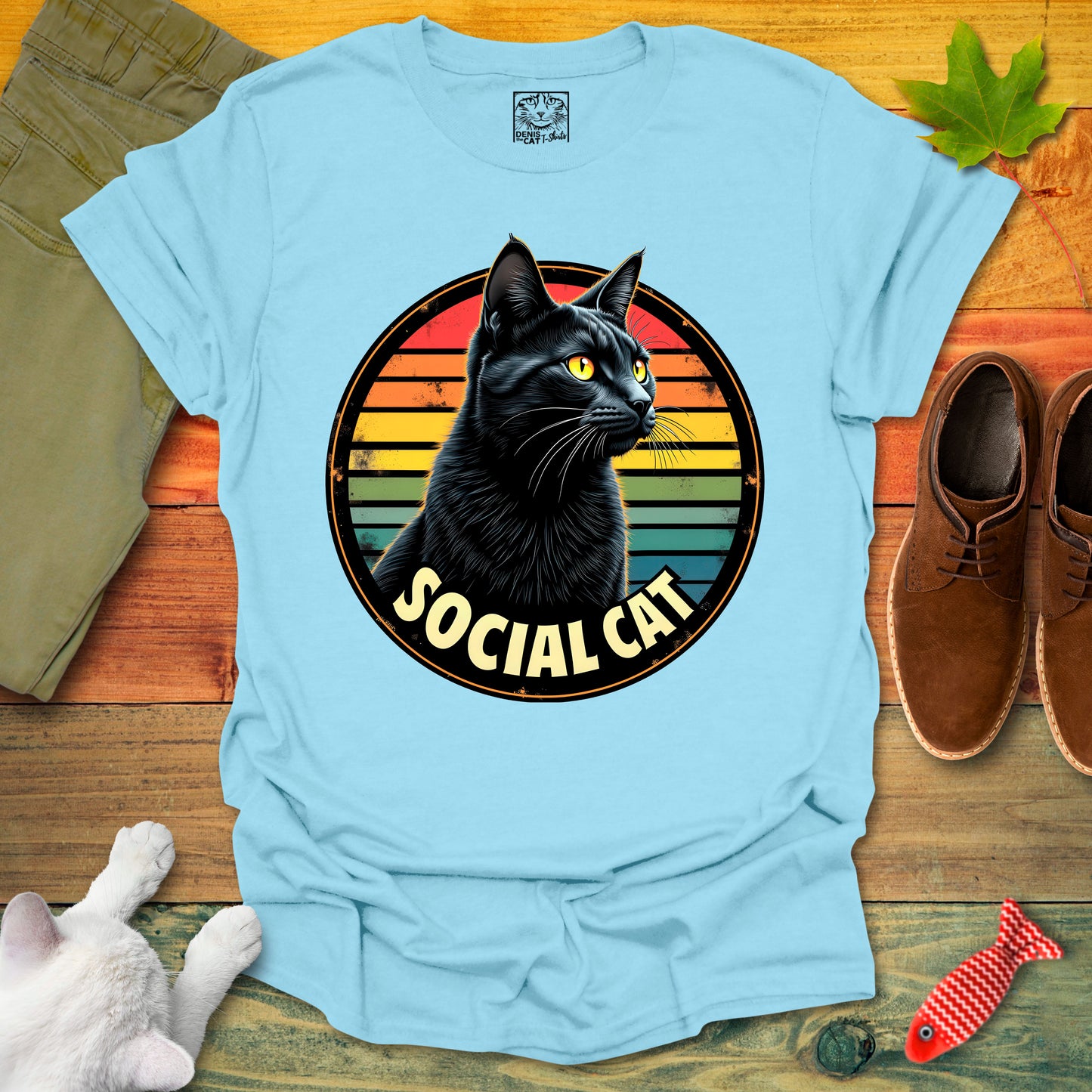 Social Cat 1