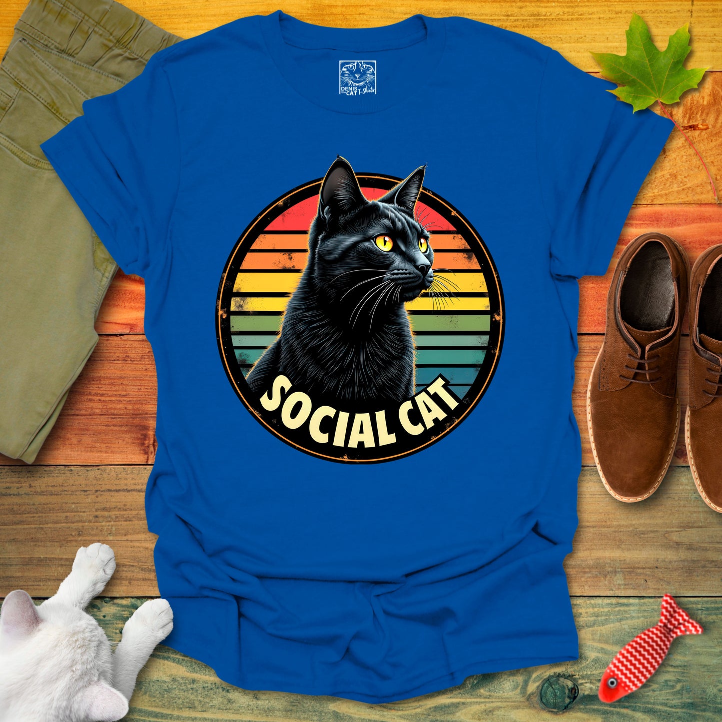 Social Cat 1