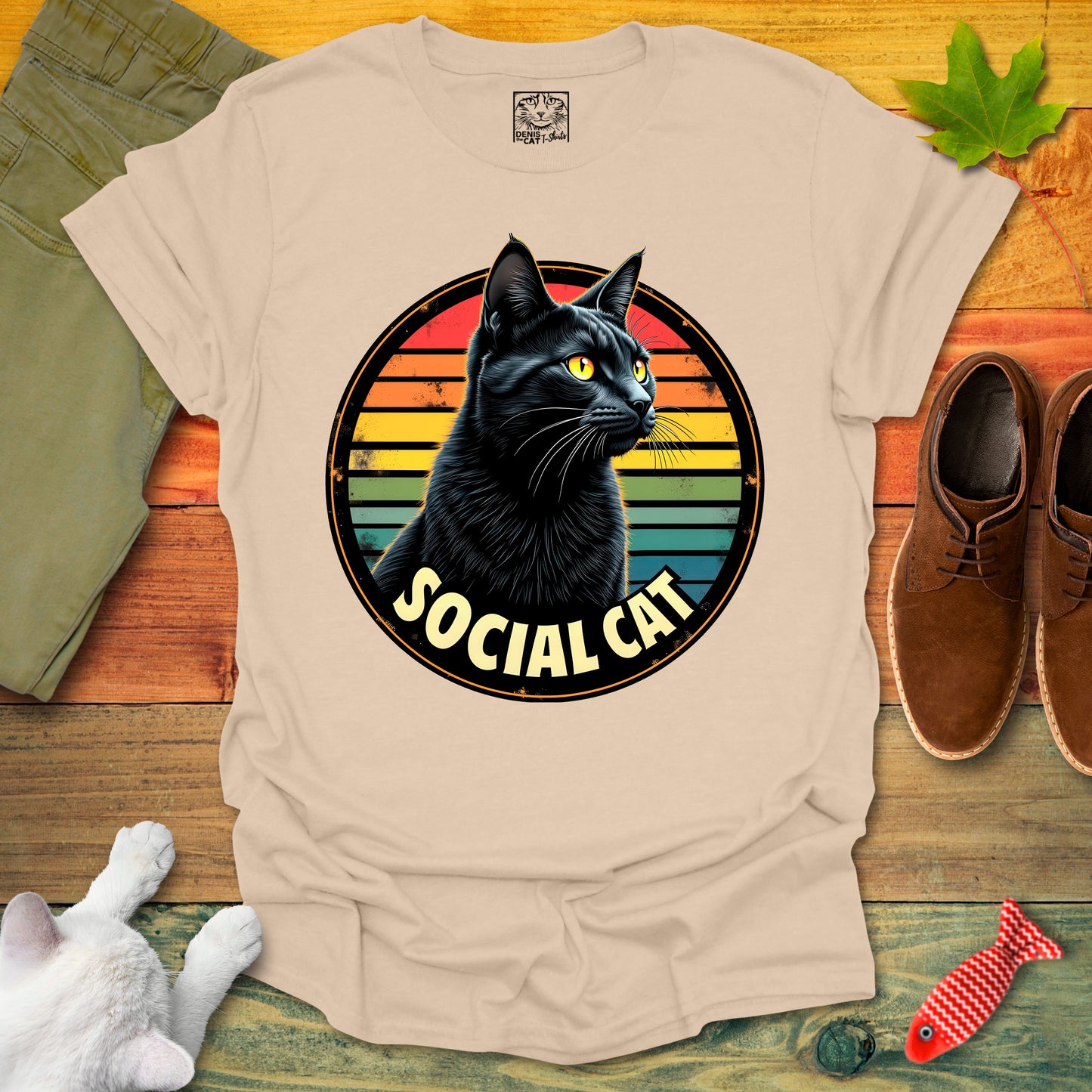 Social Cat 1