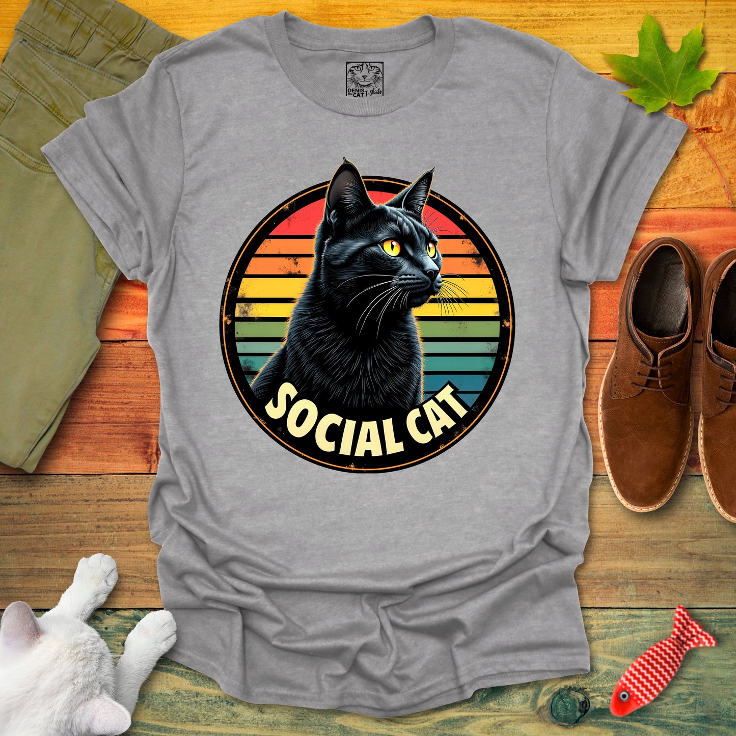 Social Cat 1