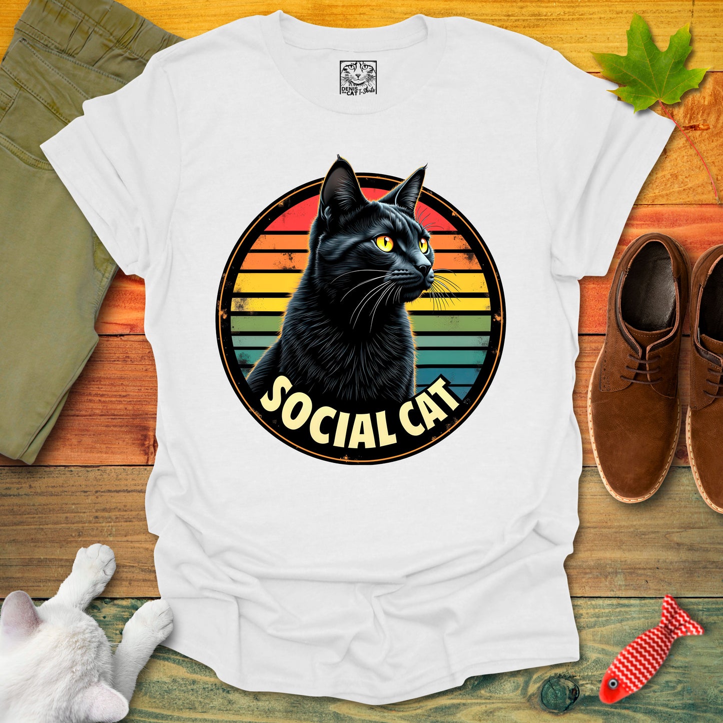 Social Cat 1