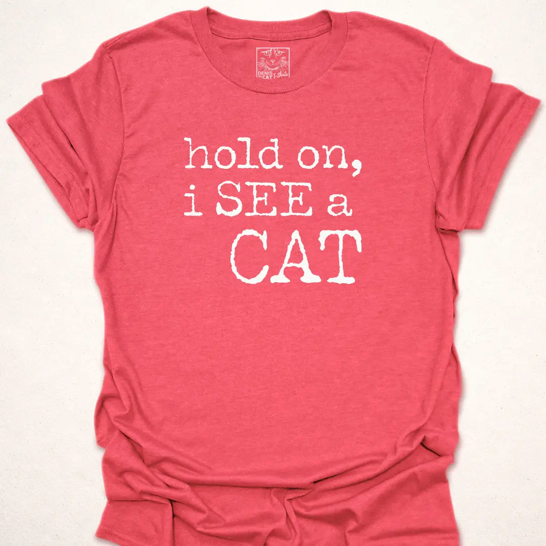 hold on, i SEE a CAT