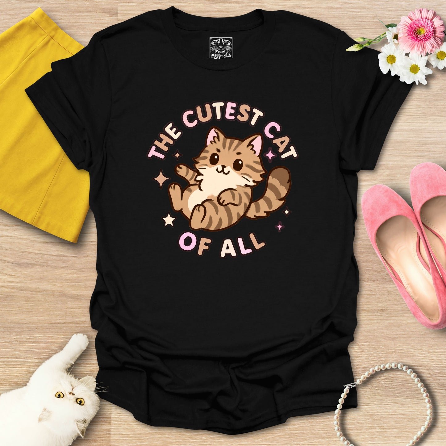 Cutest Cat of All - Main Coon 1