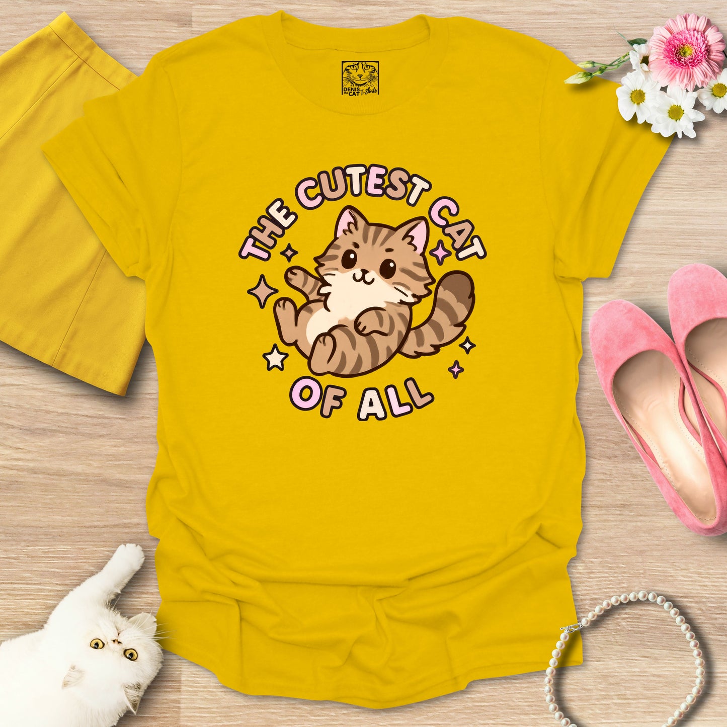 Cutest Cat of All - Main Coon 1