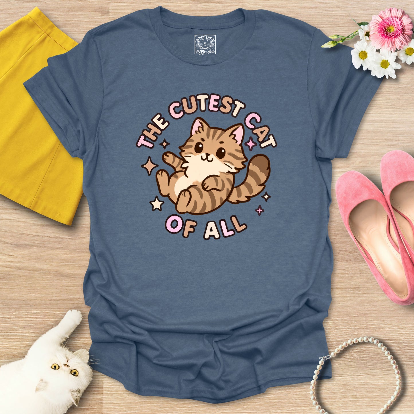 Cutest Cat of All - Main Coon 1