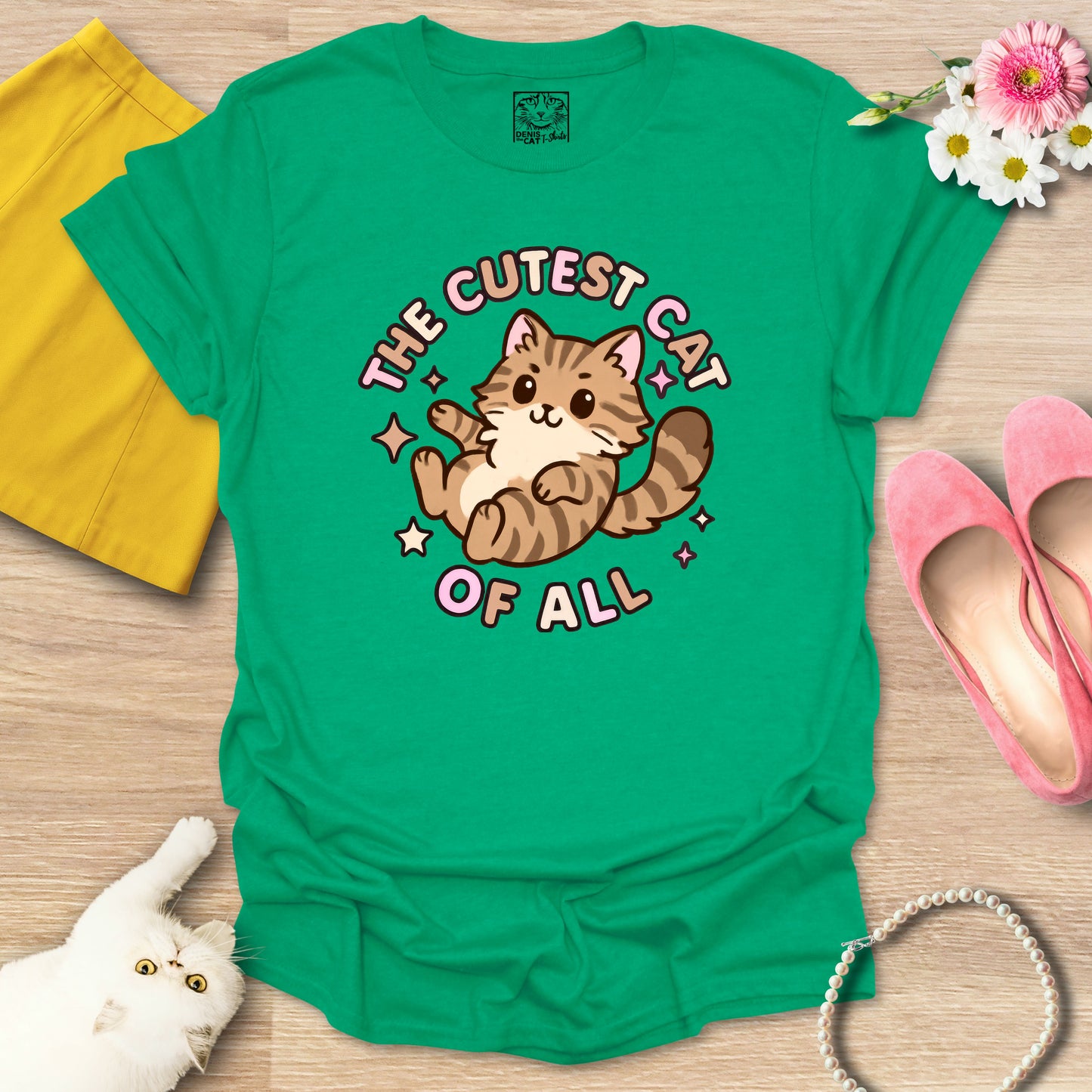 Cutest Cat of All - Main Coon 1