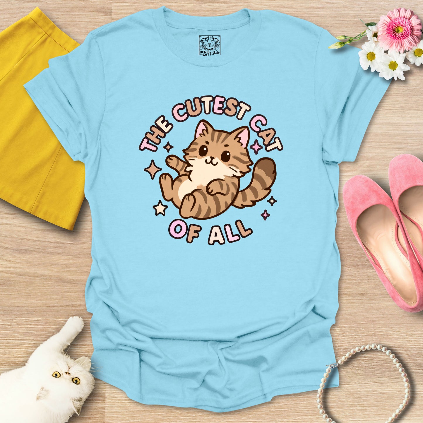 Cutest Cat of All - Main Coon 1