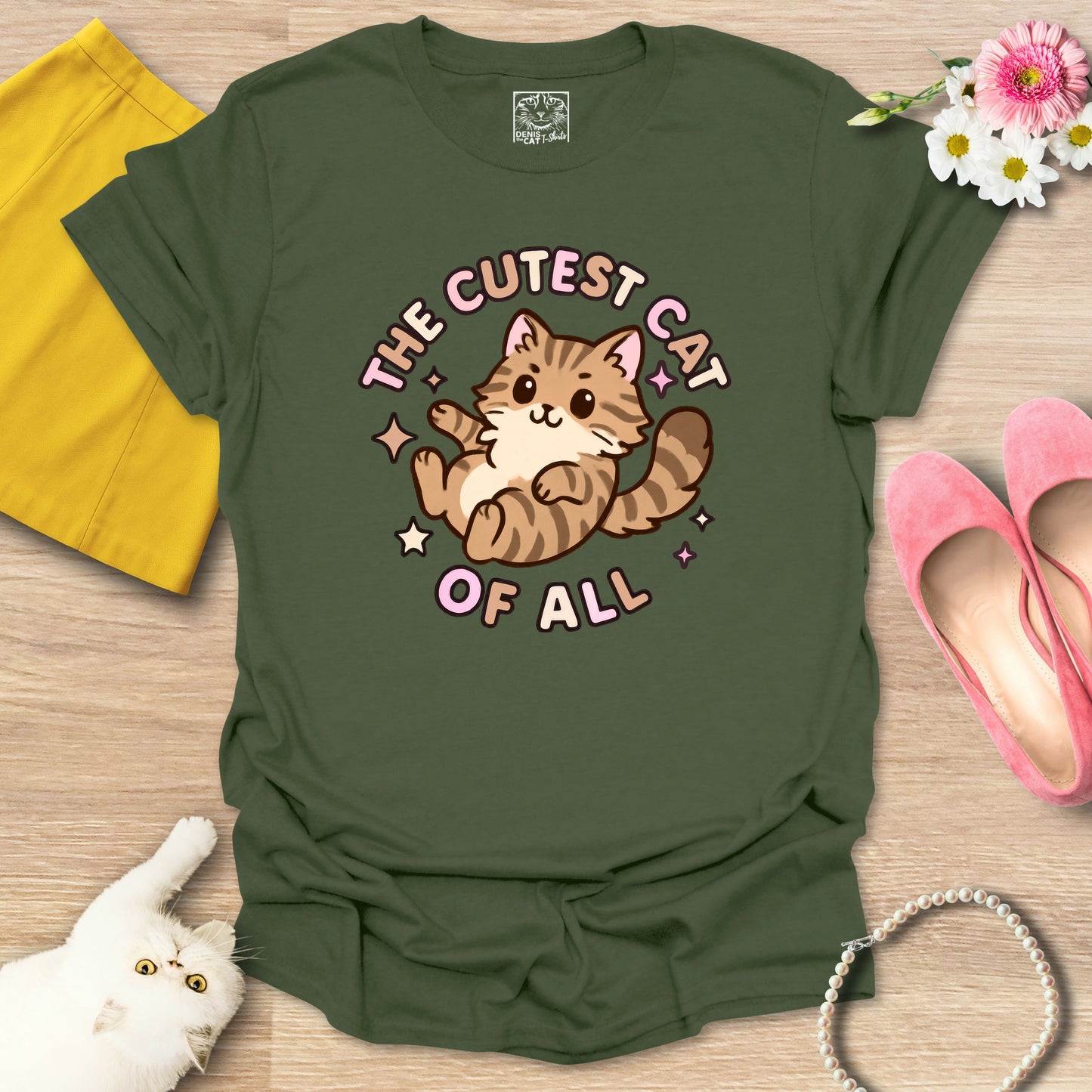 Cutest Cat of All - Main Coon 1