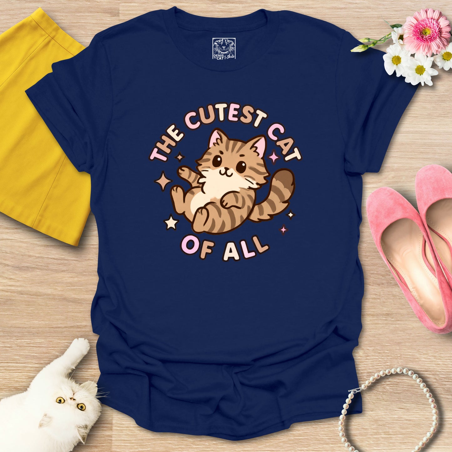 Cutest Cat of All - Main Coon 1