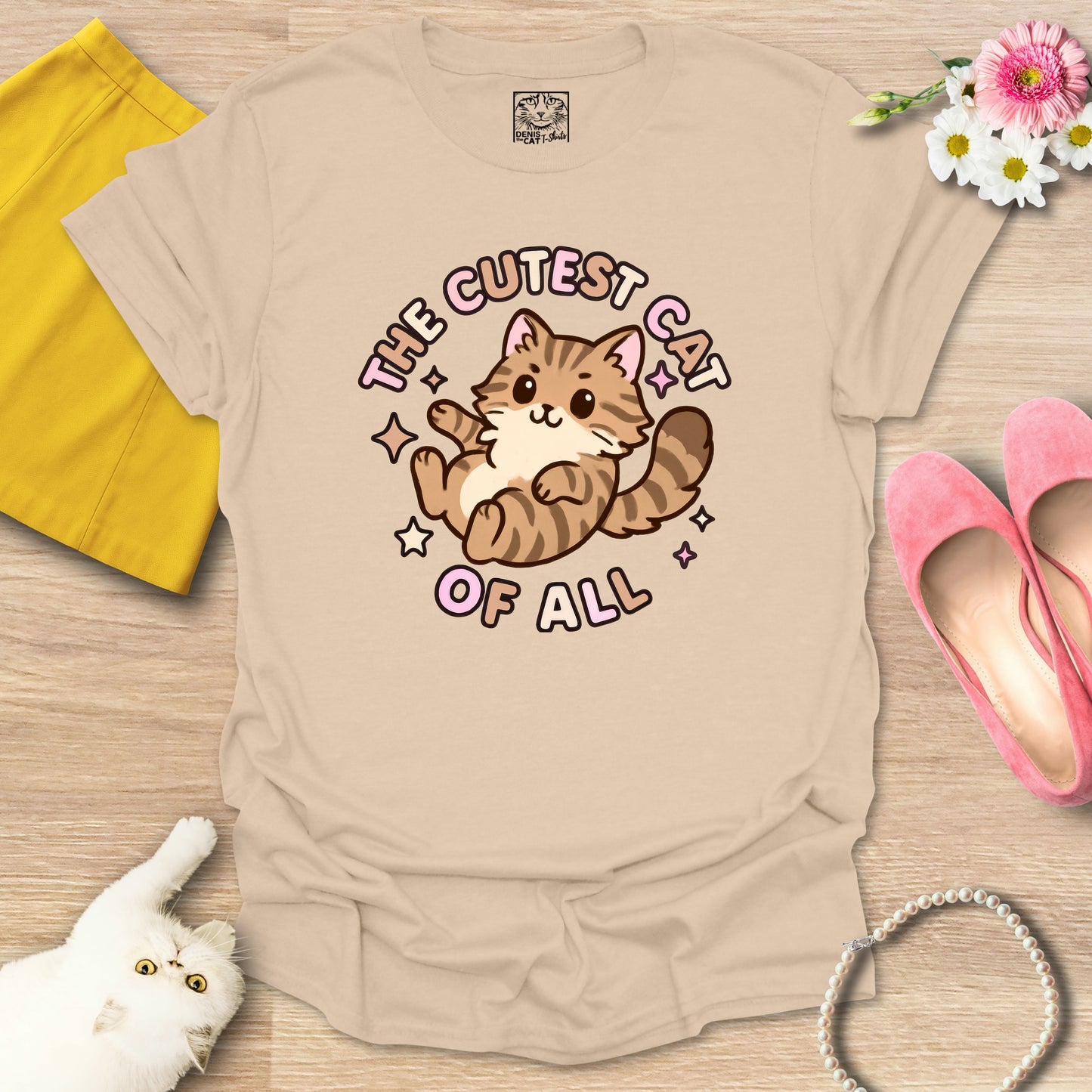 Cutest Cat of All - Main Coon 1