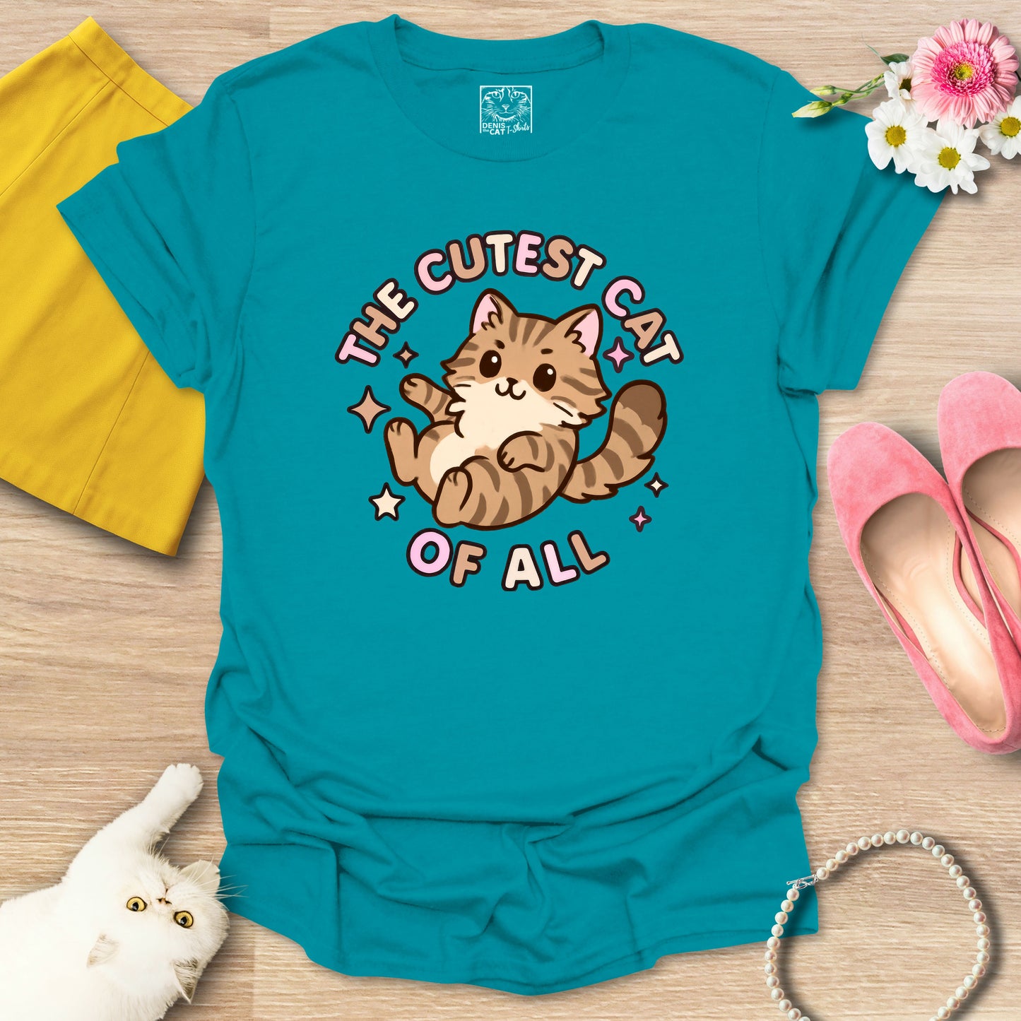 Cutest Cat of All - Main Coon 1