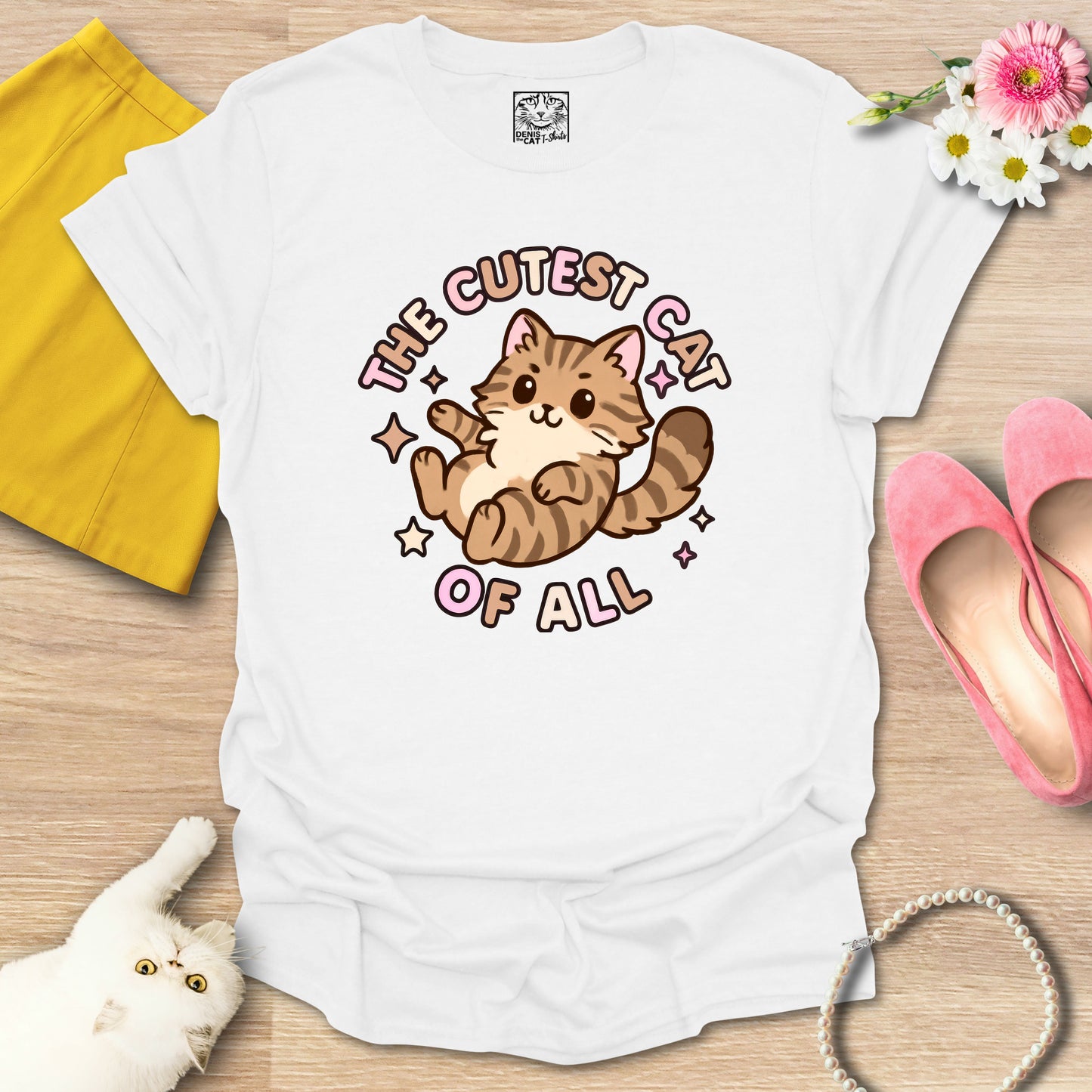 Cutest Cat of All - Main Coon 1