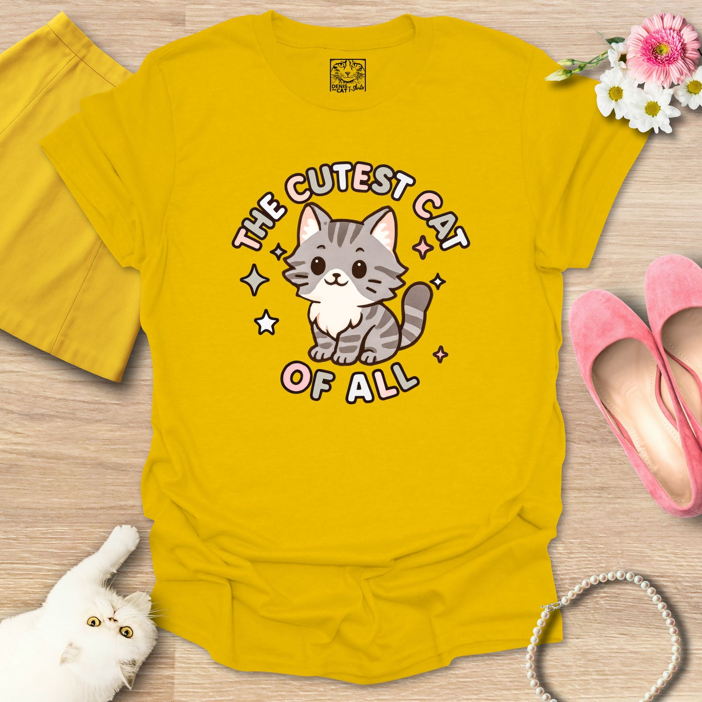 Cutest Cat of All - Main Coon 2