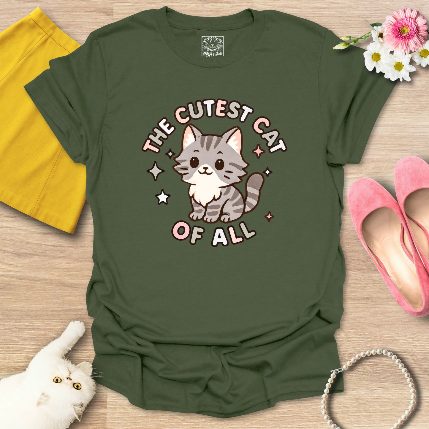 Cutest Cat of All - Main Coon 2